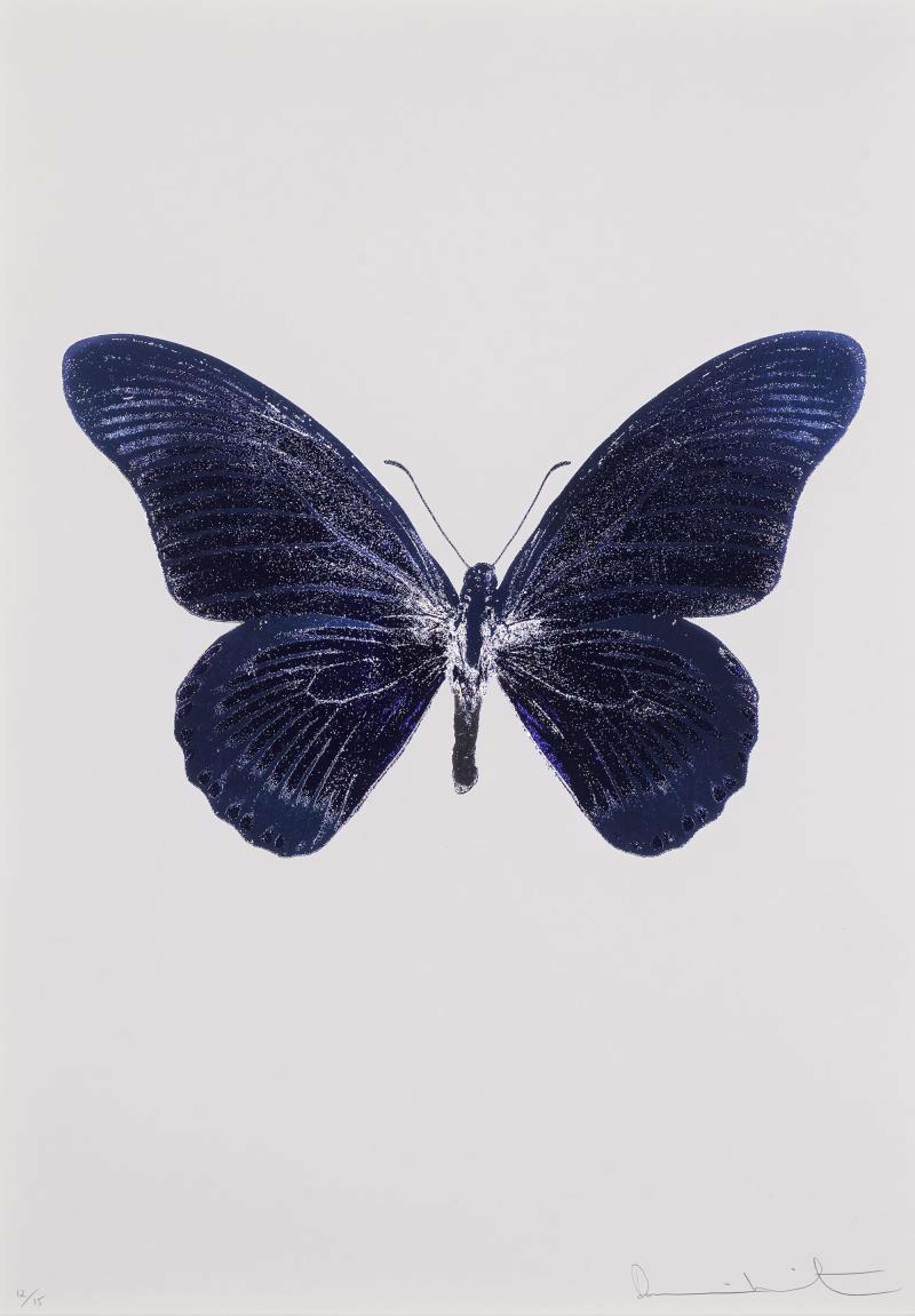 The Souls IV (imperial purple, cornflower blue, silver gloss) - Signed Print by Damien Hirst 2010 - MyArtBroker