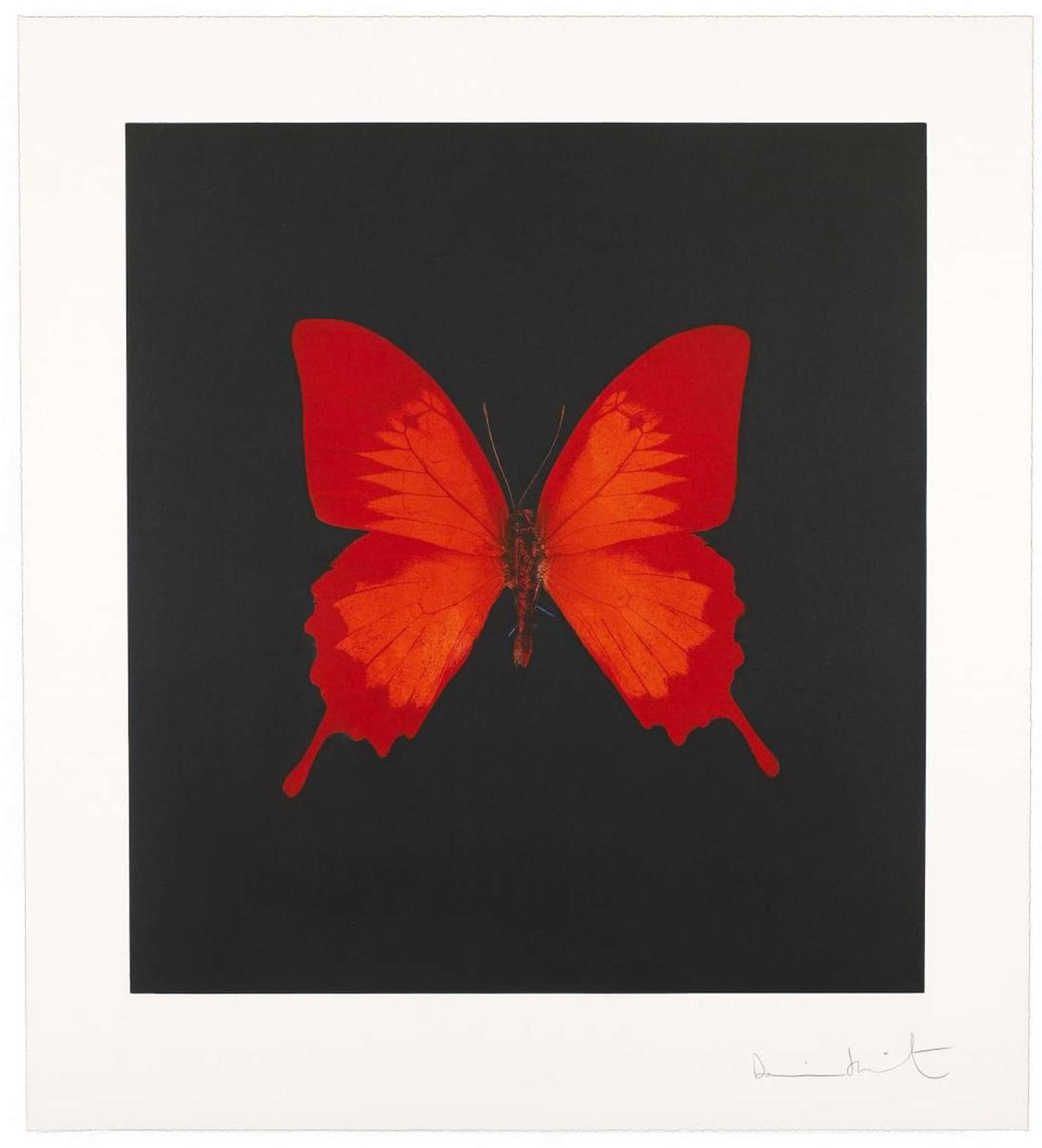 Damien Hirst screenprint of a red butterfly against a black background, printed on white with the border edge visible.