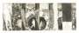 Jasper Johns: The Seasons (ULAE 244) - Signed Print