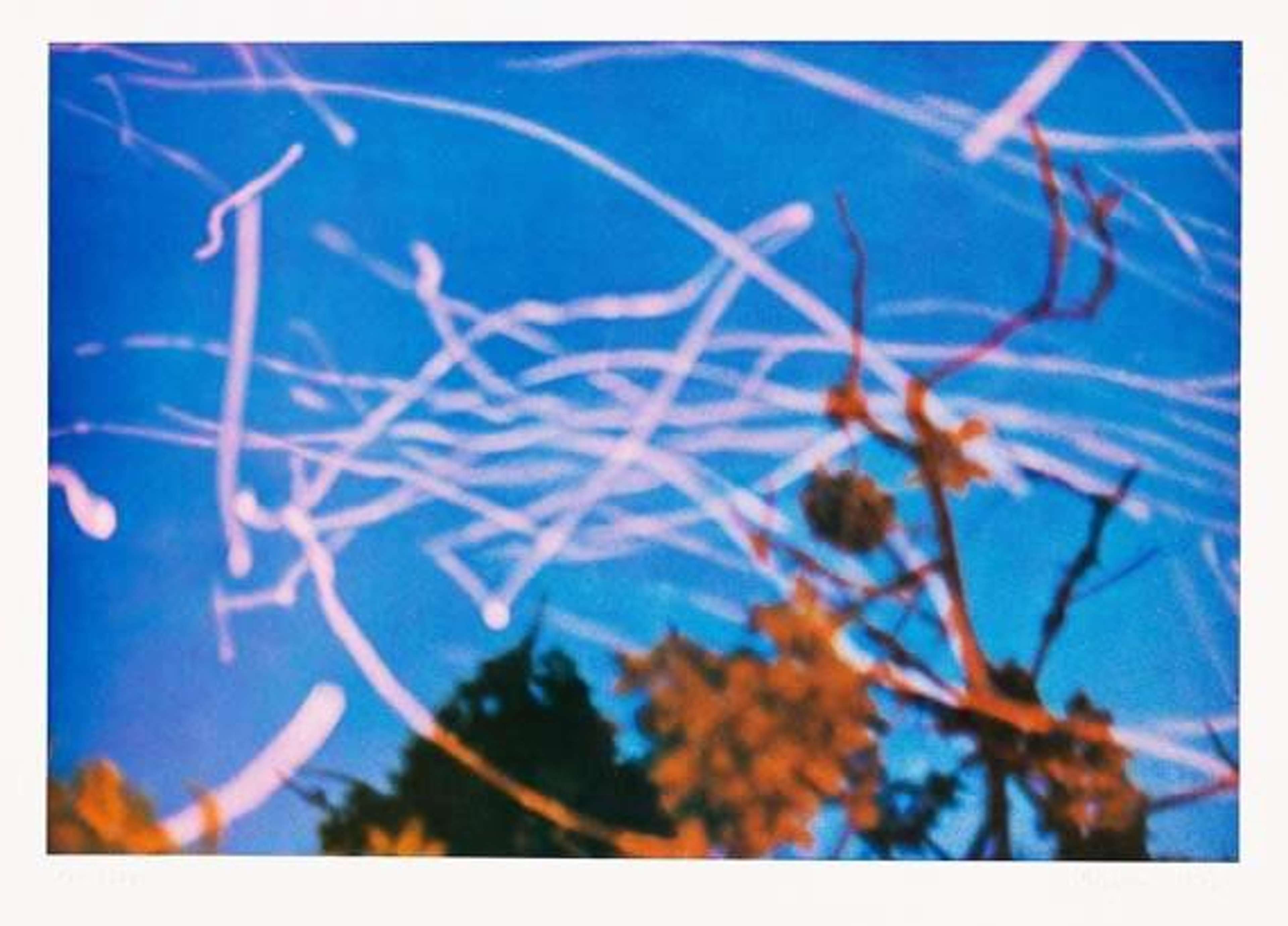 Lithograph by Gerhard Richter depicting the blurred silhouettes of warm-toned trees against a bold blue sky. Over the top of the scenery are white translucent squiggly lines which resemble light leaks or sparks.