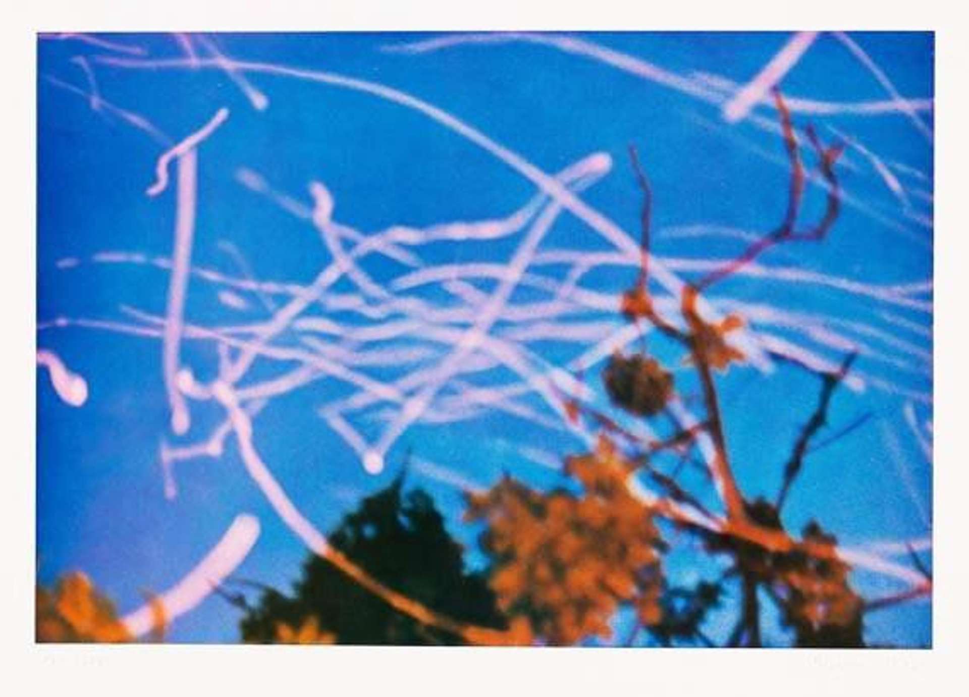 Gerhard Richter: Funken - Signed Print