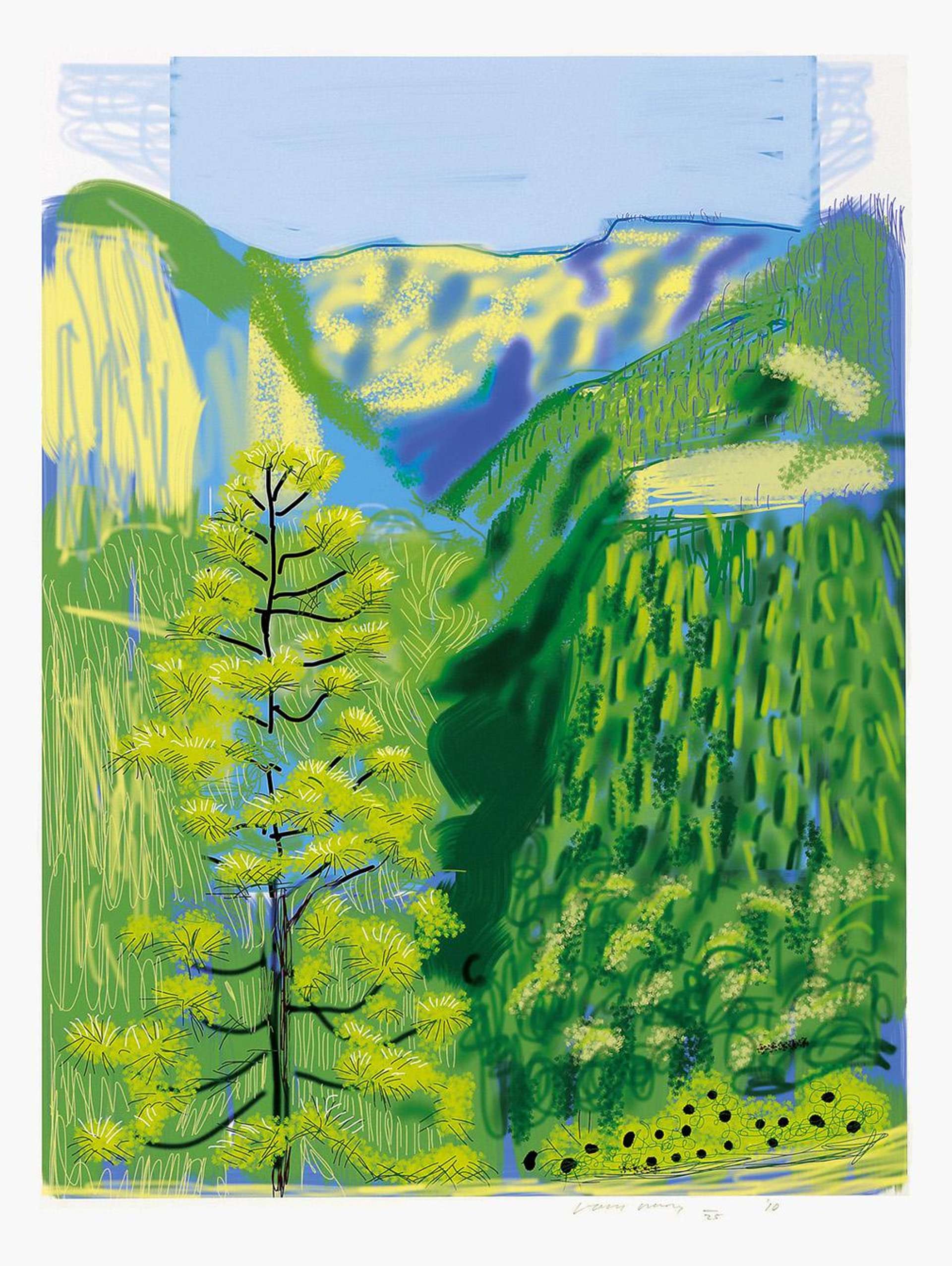 The Yosemite Suite 20 - Signed Print by David Hockney 2010 - MyArtBroker