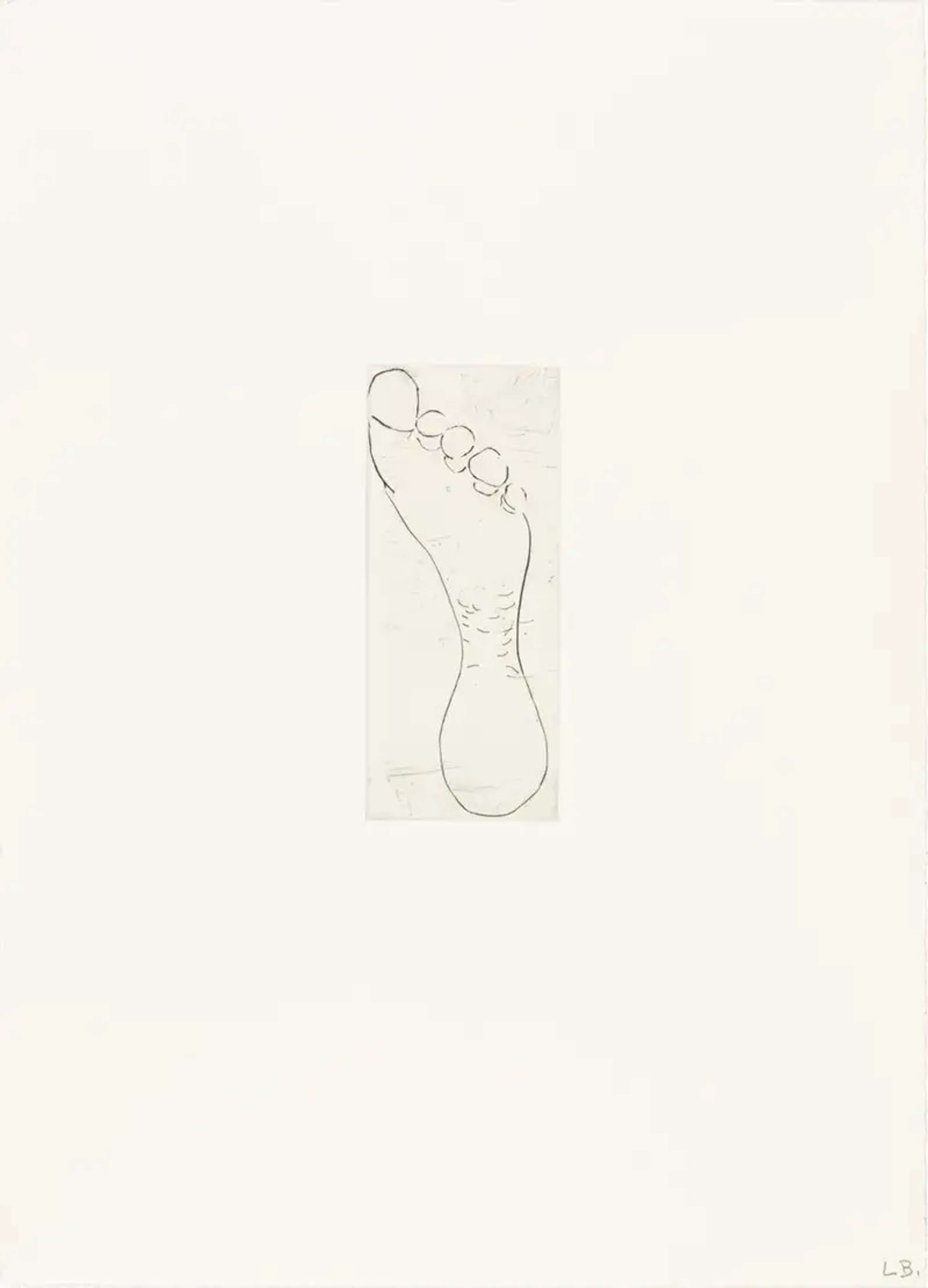 Louise Bourgeois Untitled No. 9. A monochromatic etching of an anatomical depiction of the posterior view of a foot.