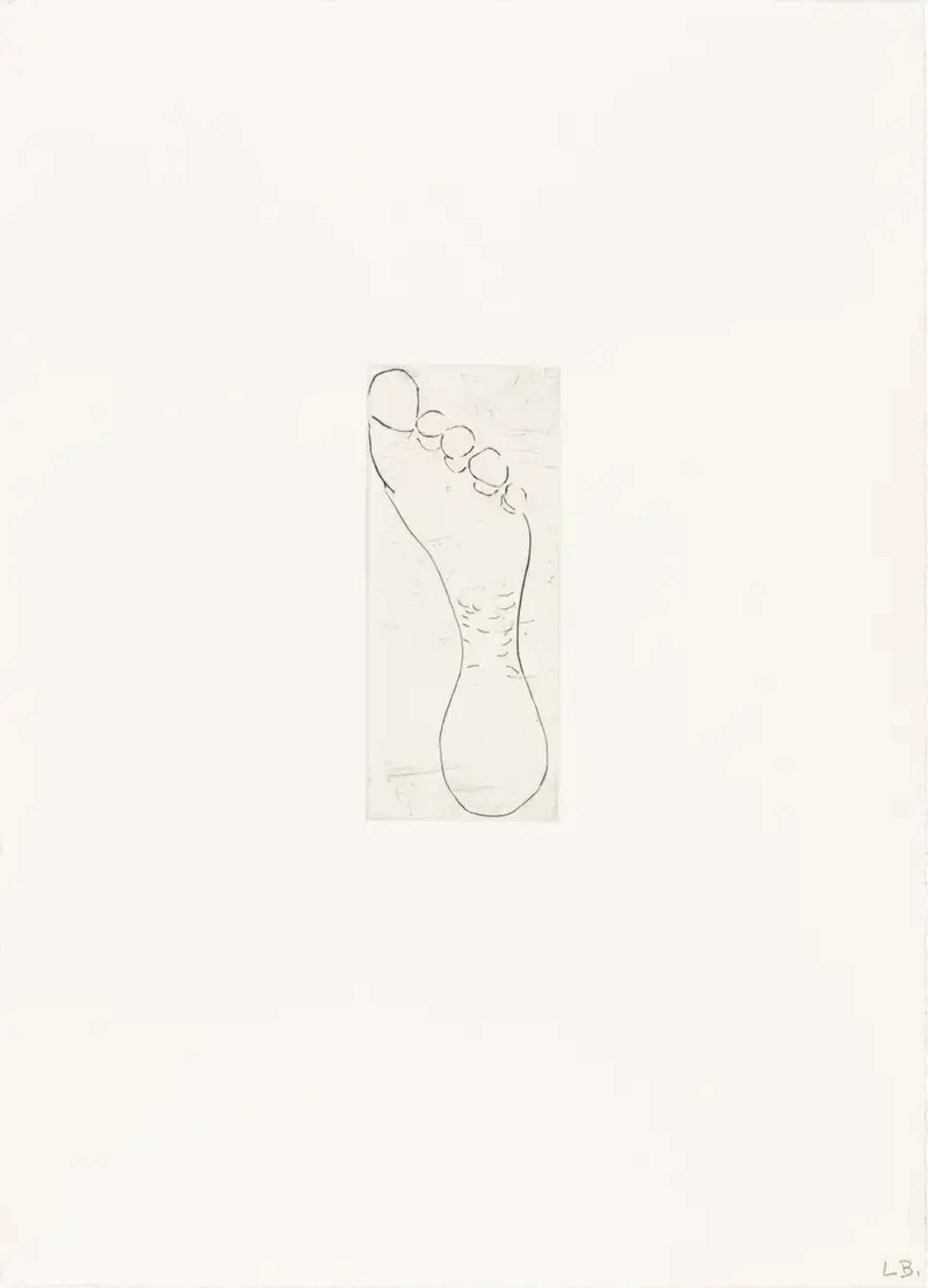 Louise Bourgeois Untitled No. 9. A monochromatic etching of an anatomical depiction of the posterior view of a foot.