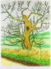 The Arrival Of Spring In Woldgate, East Yorkshire In 2011 (twenty eleven) - 22 March - Signed Print