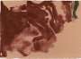 Helen Frankenthaler: Altitudes - Signed Print