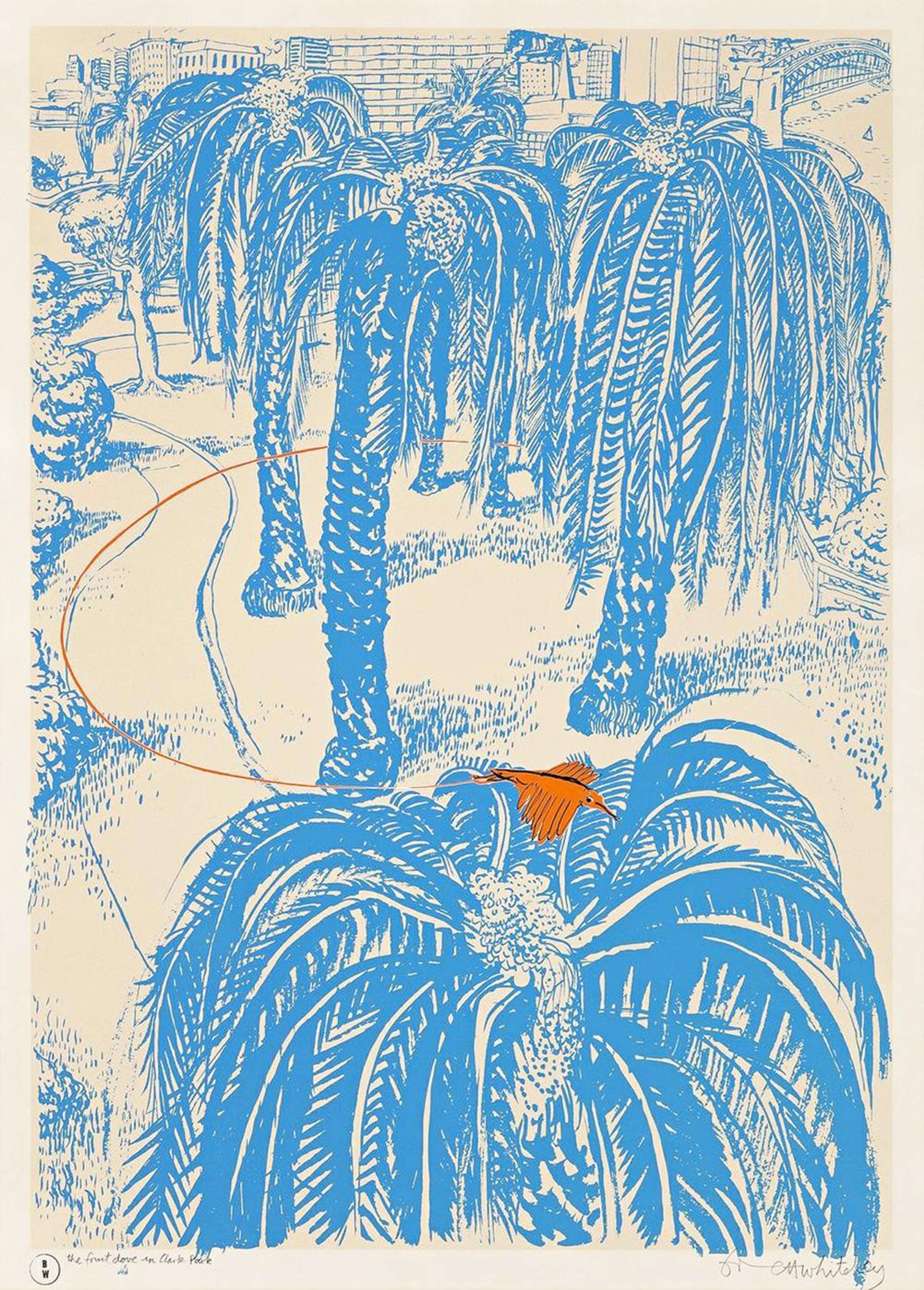 (The Orange) Fruit Dove In Clark Park - Signed Print by Brett Whiteley 1980 - MyArtBroker