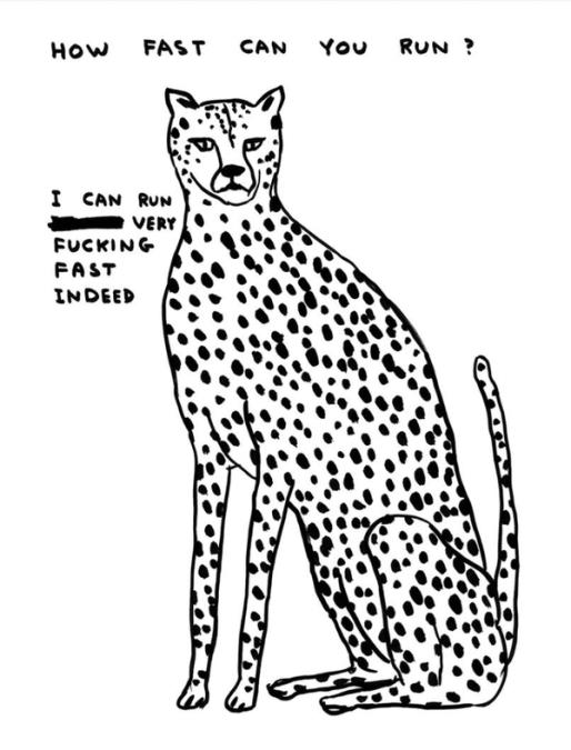 David Shrigley How Fast Can You Run Unsigned Print 2022 For Sale David shrigley how fast can you run unsigned print 2022 for sale