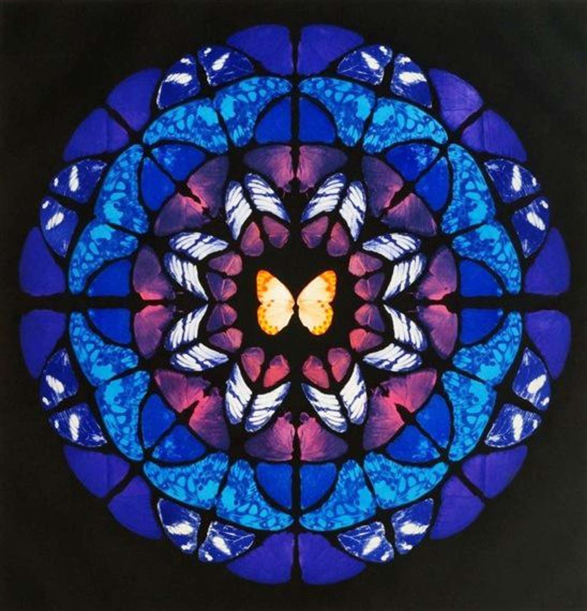 An image of Damien Hirst's print Dome, depicting a series of butterflies arranged in a mandala pattern. The colour palette is largely composed of cool colours.