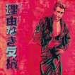 Rebel Without A Cause (James Dean) (F. & S. II.355) - Signed Print