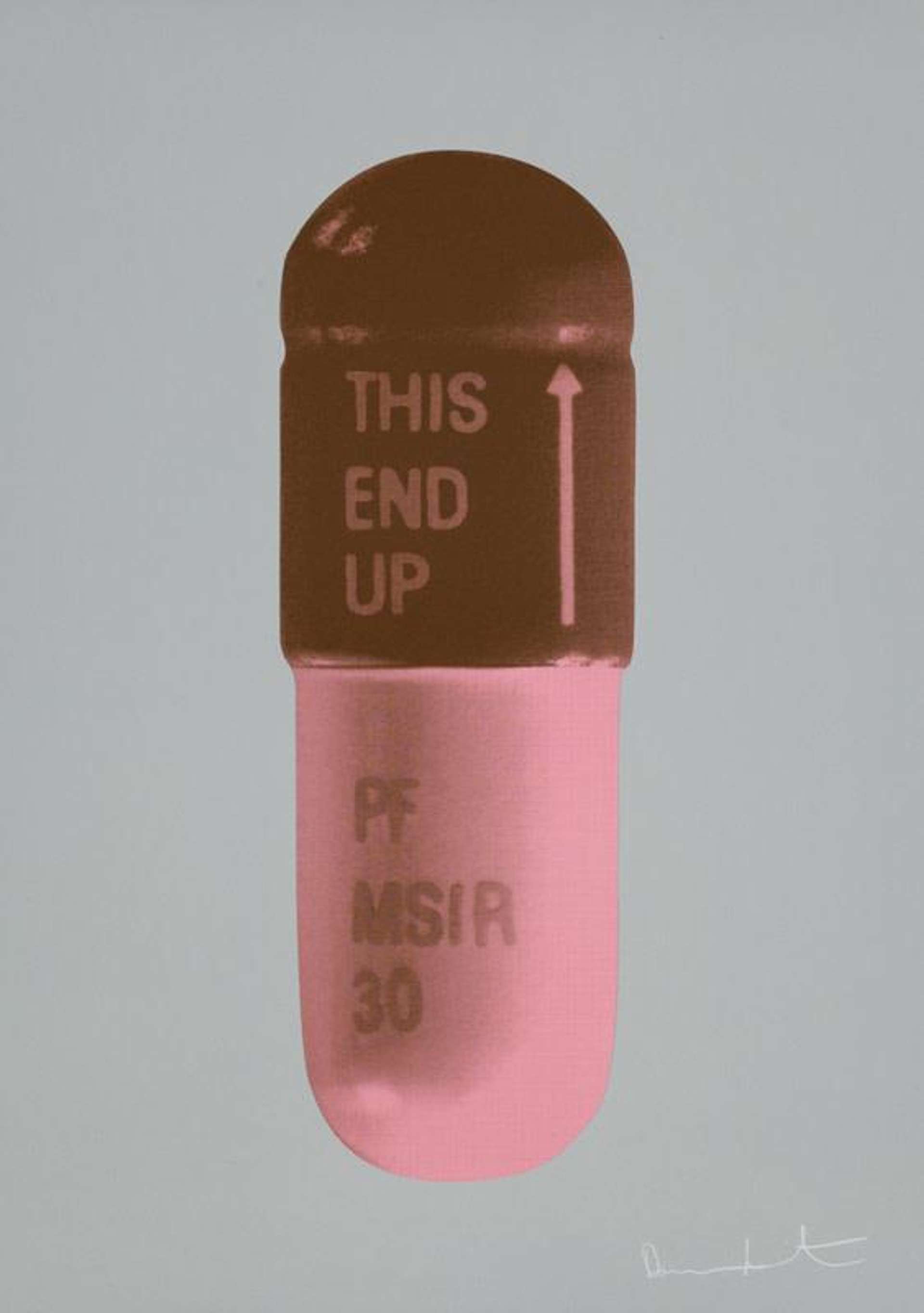Damien Hirst’s The Cure (frigate, chocolate, rose pink). A screenprint of a pink and brown pharmaceutical pill against a grey background. 
