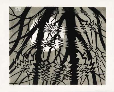 Rippled Surface - Signed Print by M. C. Escher 1950 - MyArtBroker