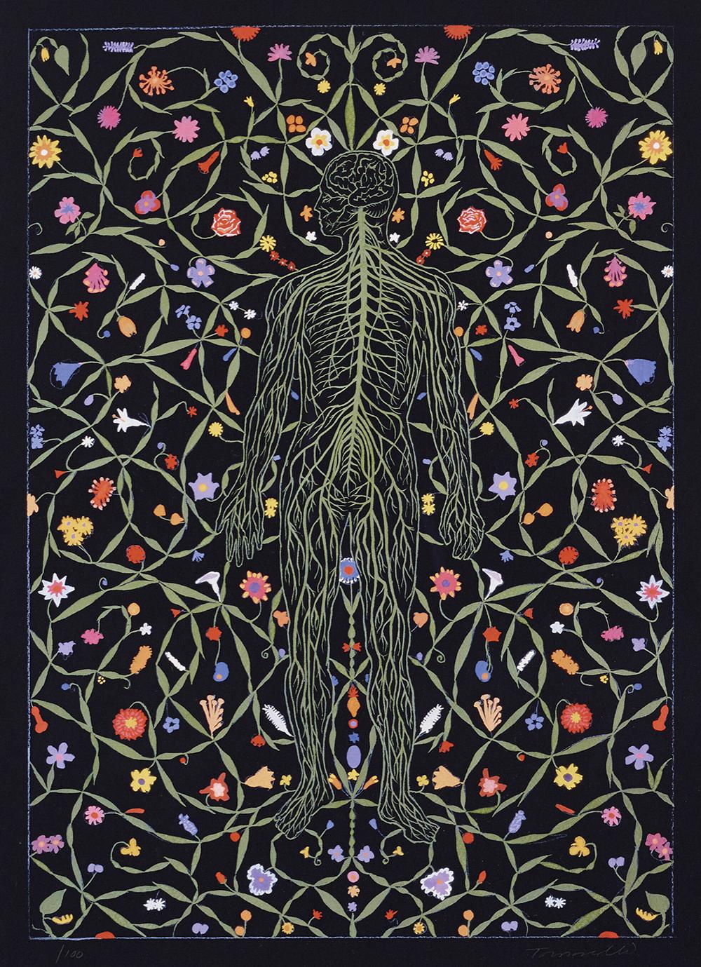 Fred Tomaselli Art for Sale: Prints & Originals | MyArtBroker