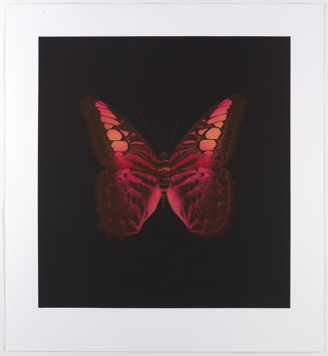 Memento by Damien Hirst Meaning, Analysis & Auction Results