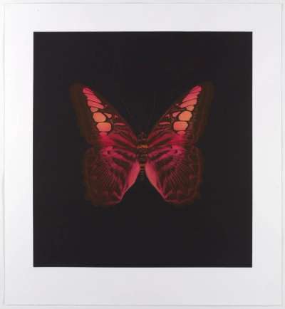 Damien Hirst: Memento 1 - Signed Print