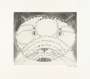 Louise Bourgeois: The Angry Cat - Signed Print