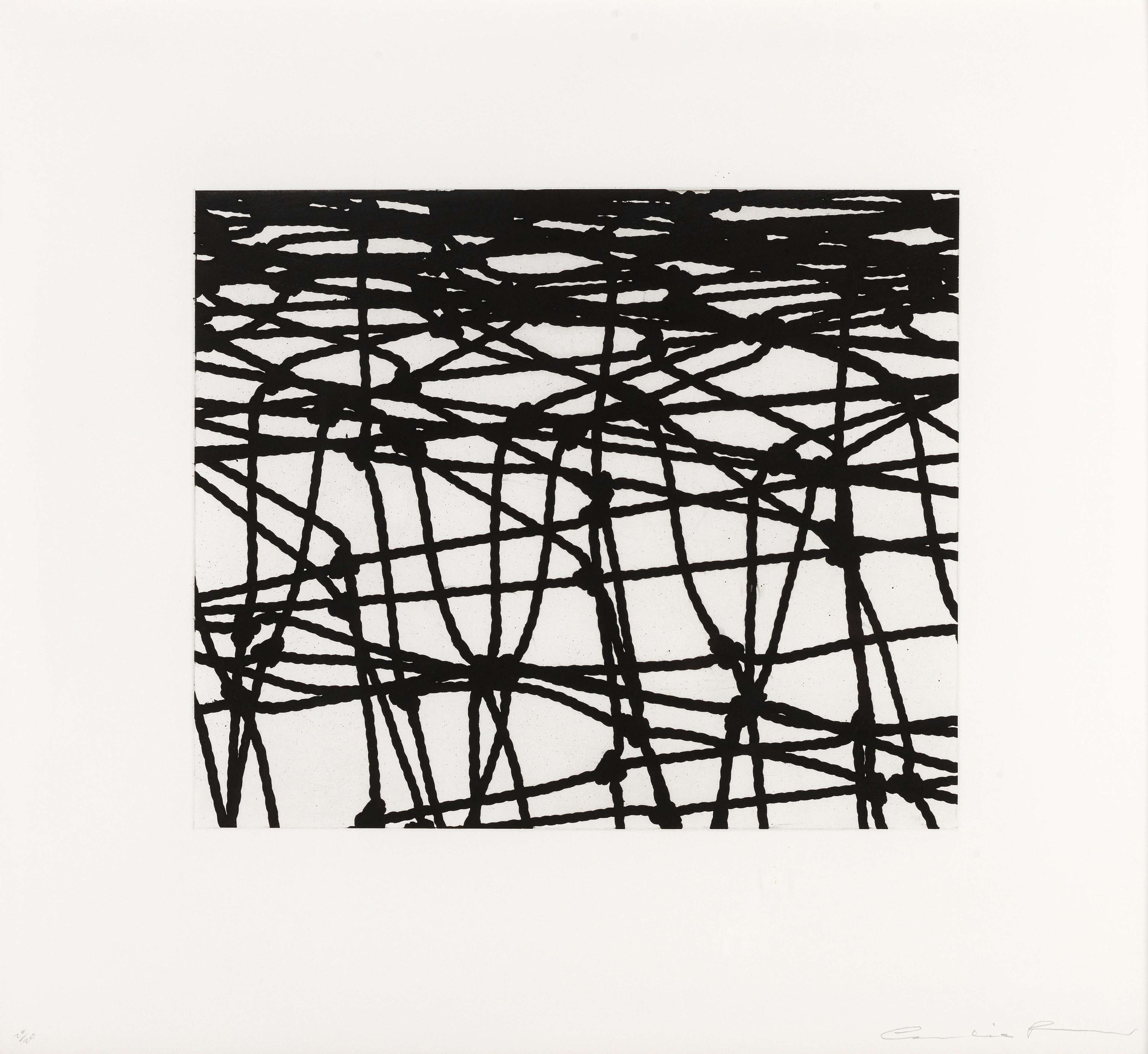 Worry Lines 6 - Signed Print by Cornelia Parker 2008 - MyArtBroker