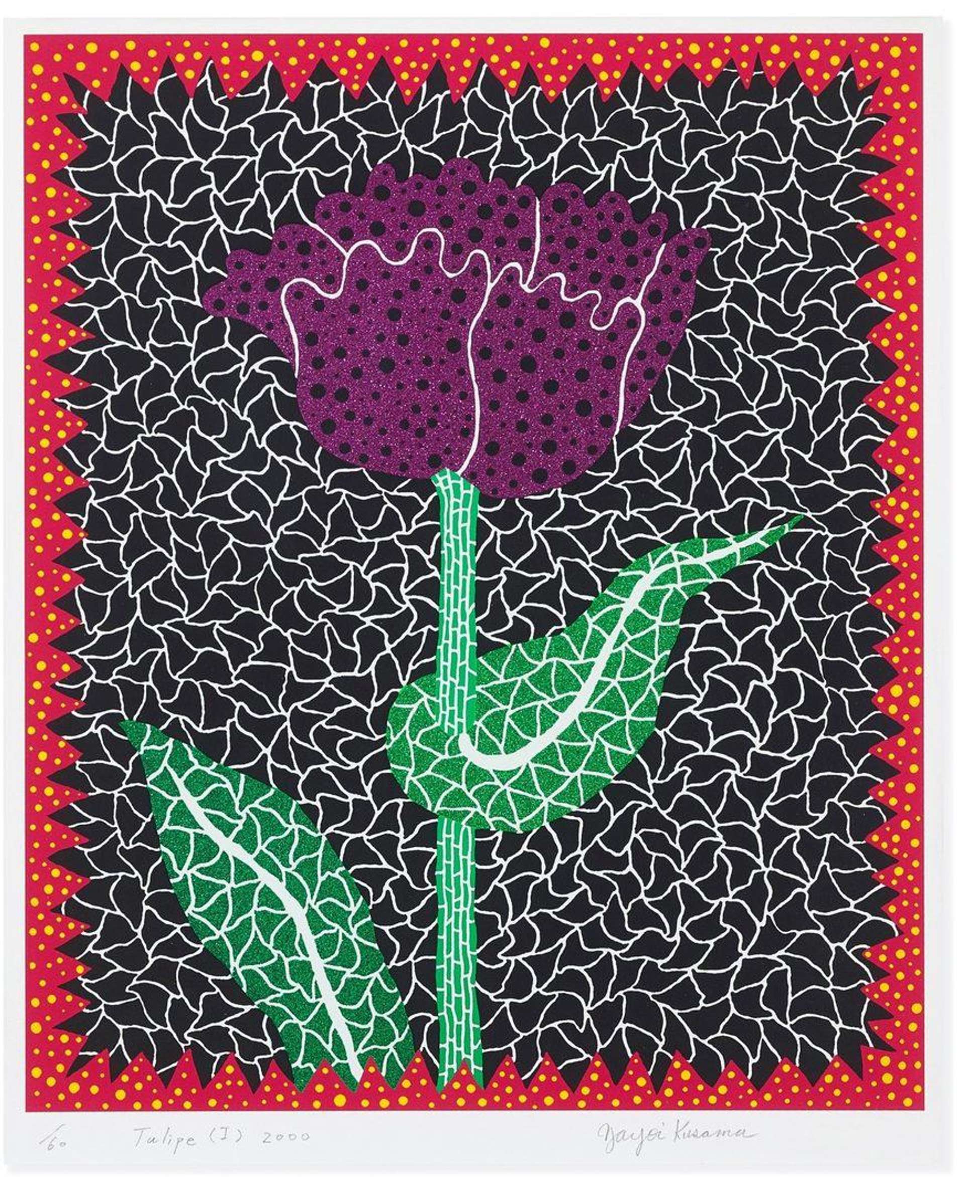 Purple tulip flower against black background with white geometric lines, with a red border that has yellow dots. 