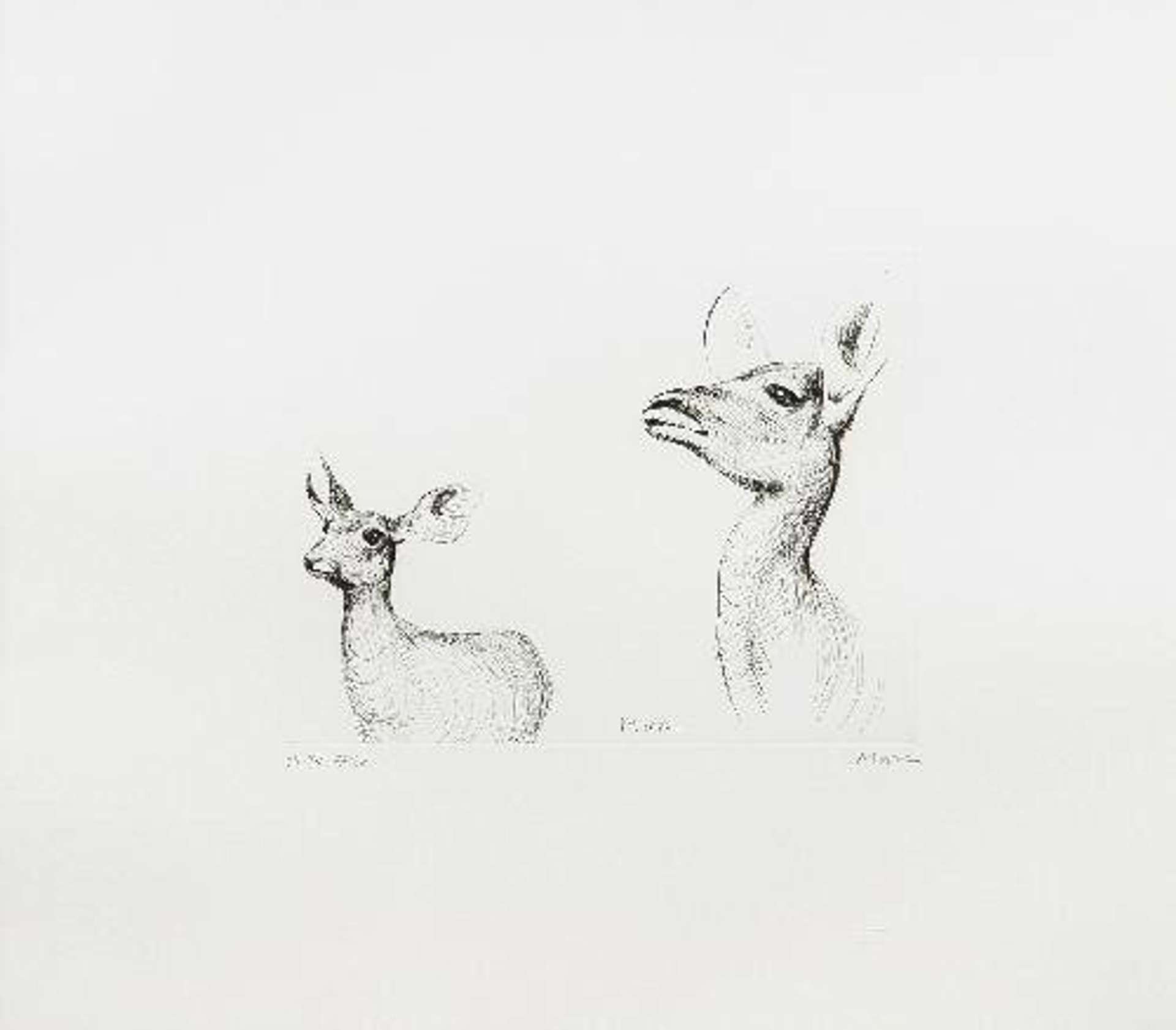 Antelope - Signed Print by Henry Moore 1981 - MyArtBroker