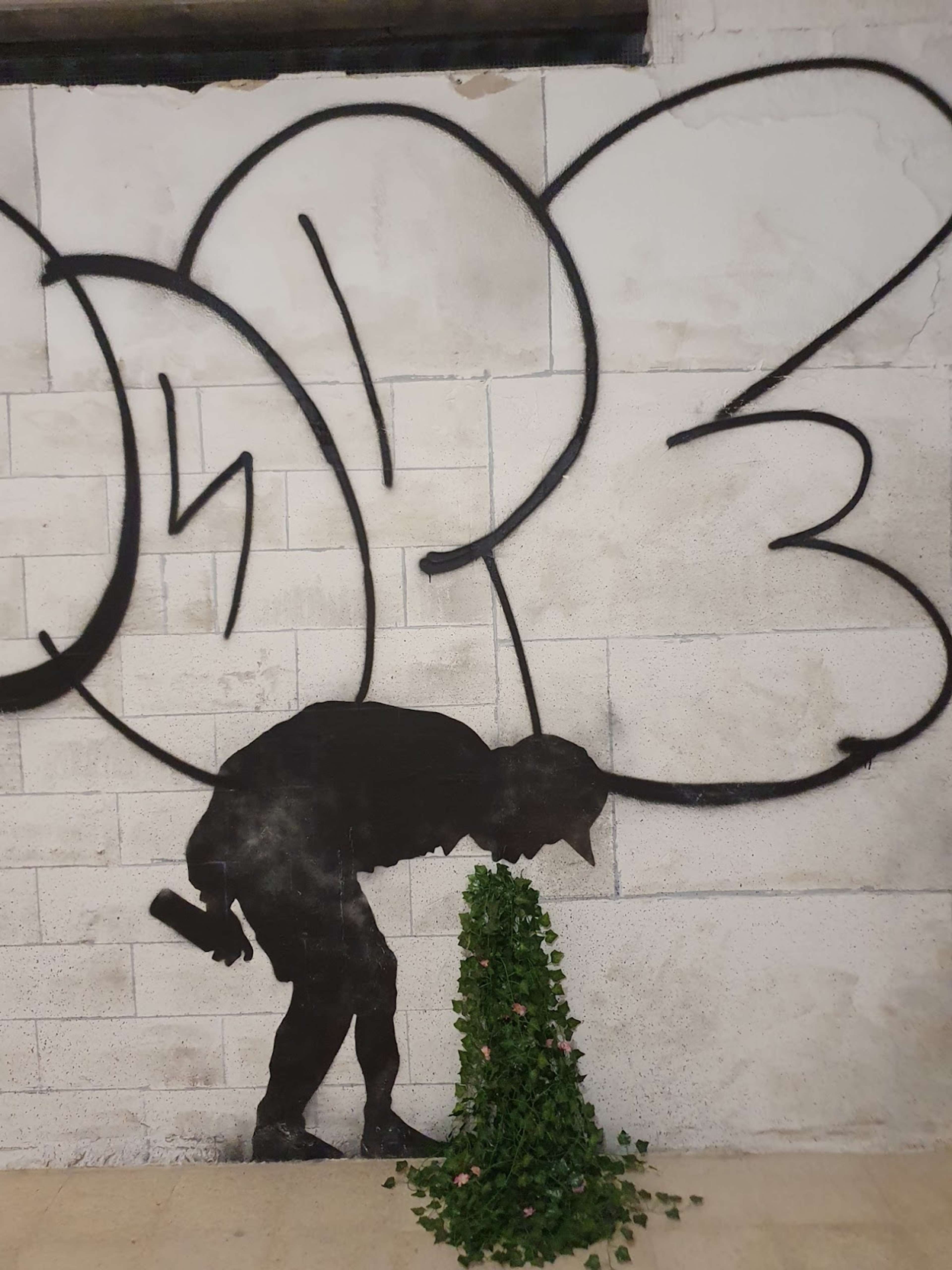 An image of the mural Better Out Than In by Banksy. It shows the silhouette of a young graffiti artist, holding a spray can and bent over, appearing to be vomiting an actual cluster of ivy.