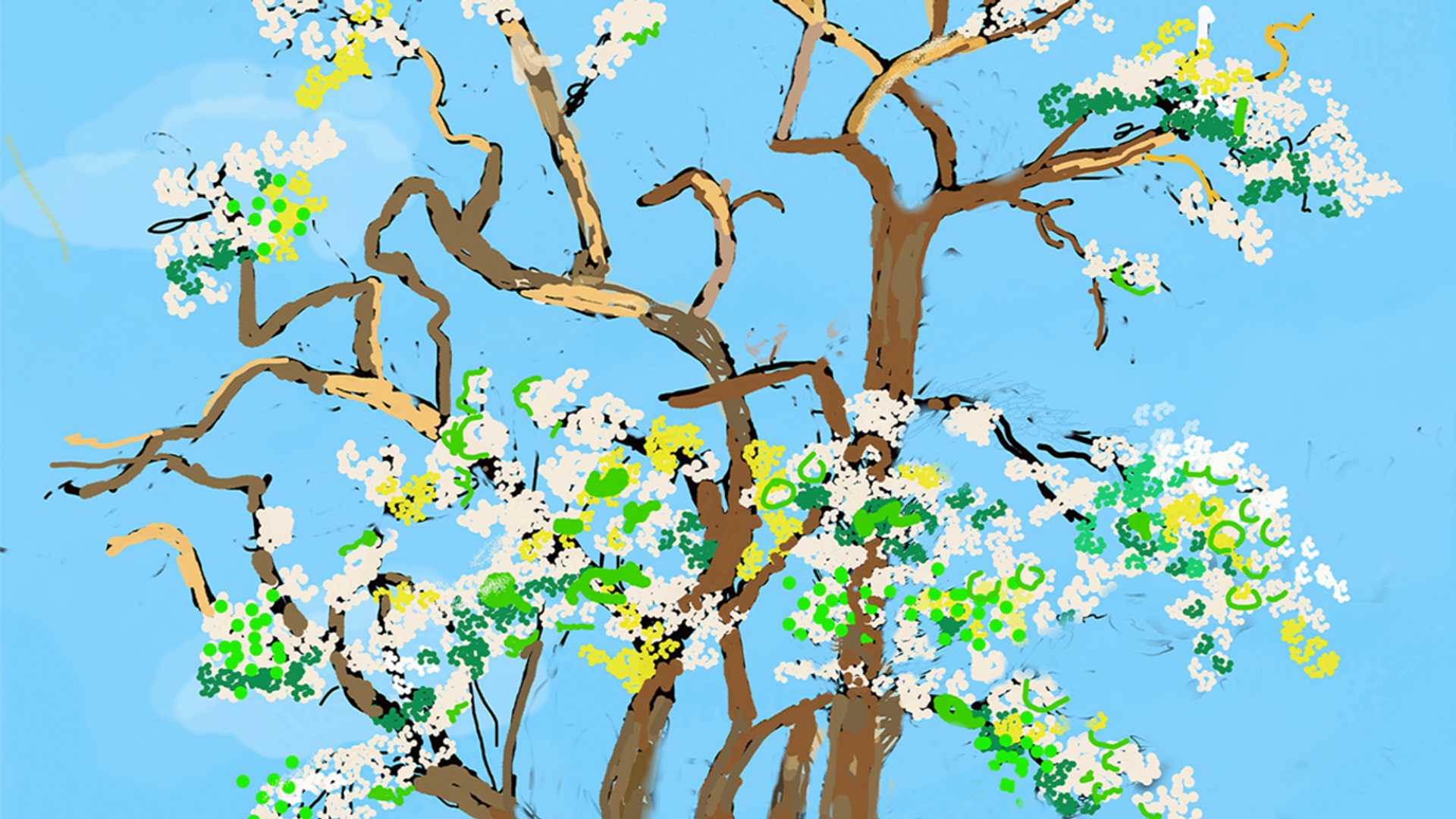This iPad drawing by David Hockney shows a flowering tree in white and greens against a bright blue sky.