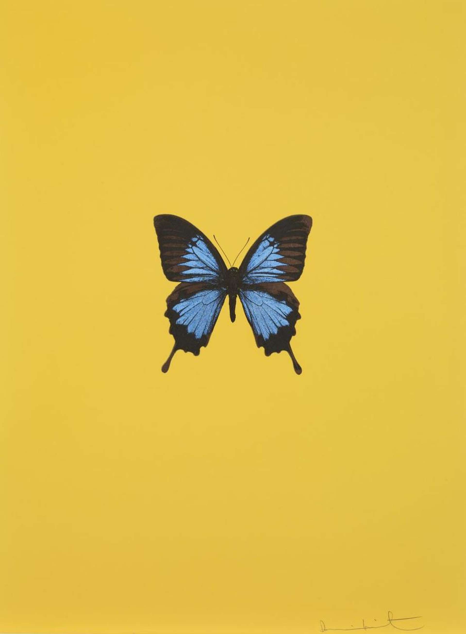 It's A Beautiful Day 3 - Signed Print by Damien Hirst 2013 - MyArtBroker