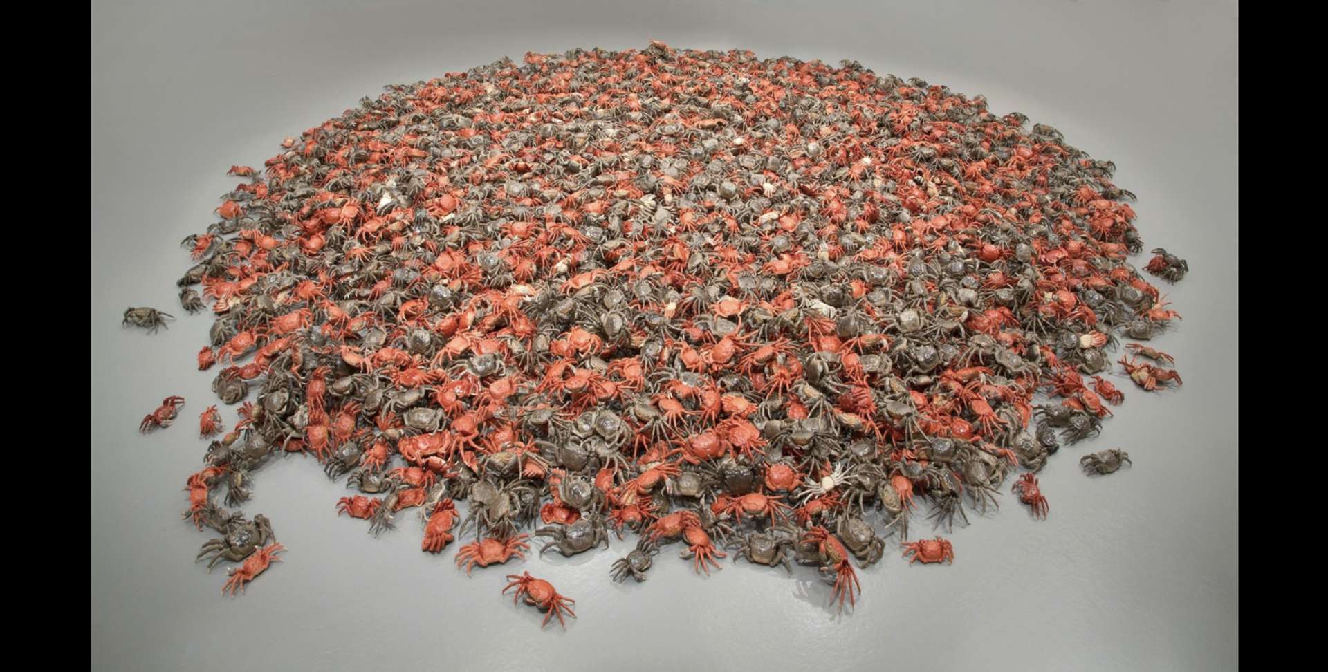 A photograph showing a pile of porcelain red and crown crabs stacked in the center of an empty gallery floor.