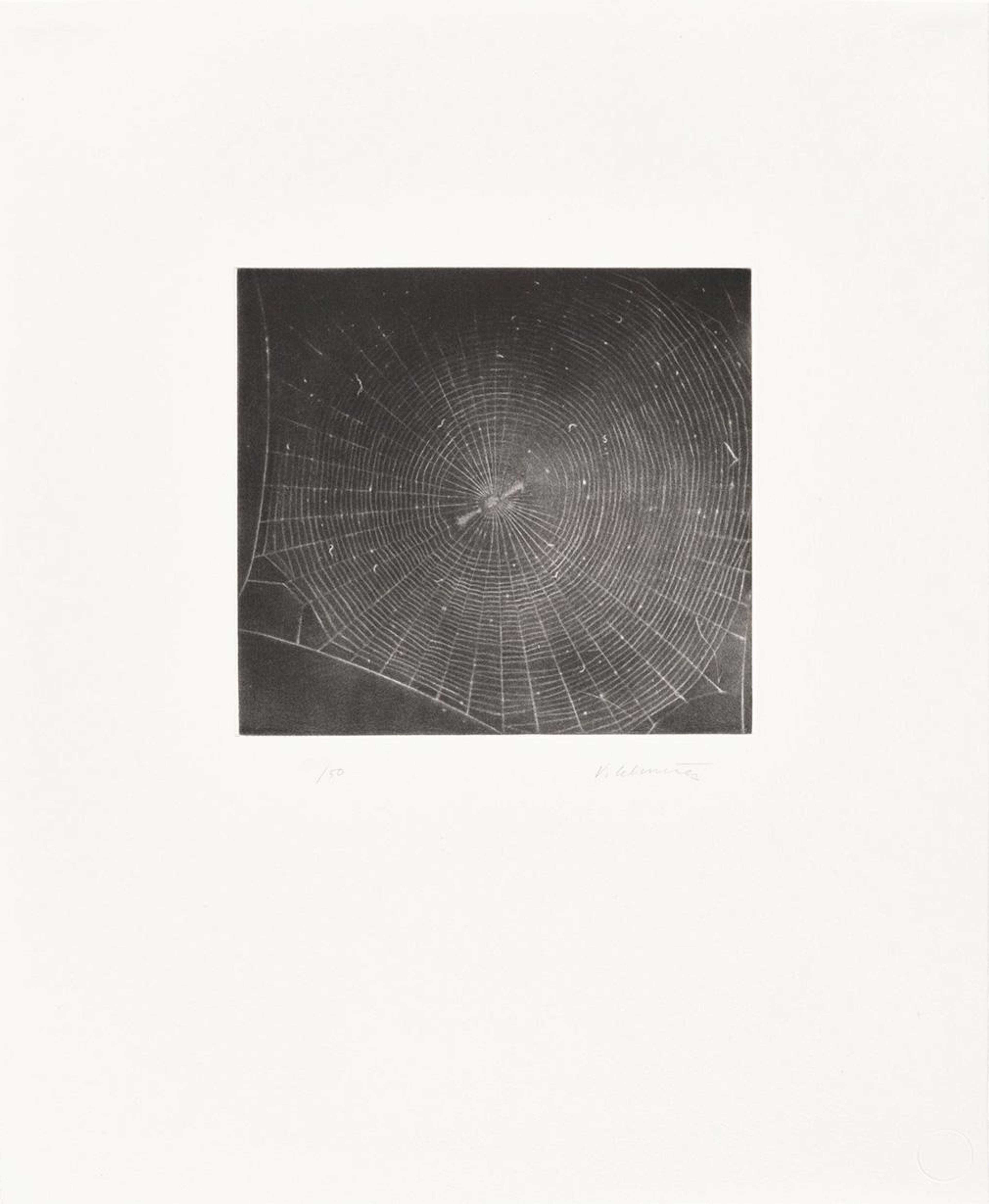 Untitled (Web 2) - Signed Print by Vija Celmins 2001 - MyArtBroker