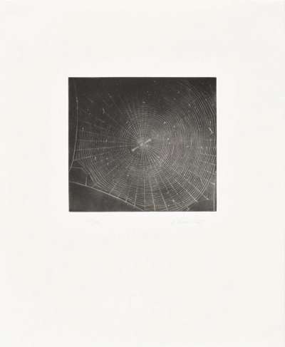 Untitled (Web 2) - Signed Print by Vija Celmins 2001 - MyArtBroker