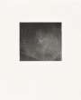 Vija Celmins: Untitled (Web 2) - Signed Print