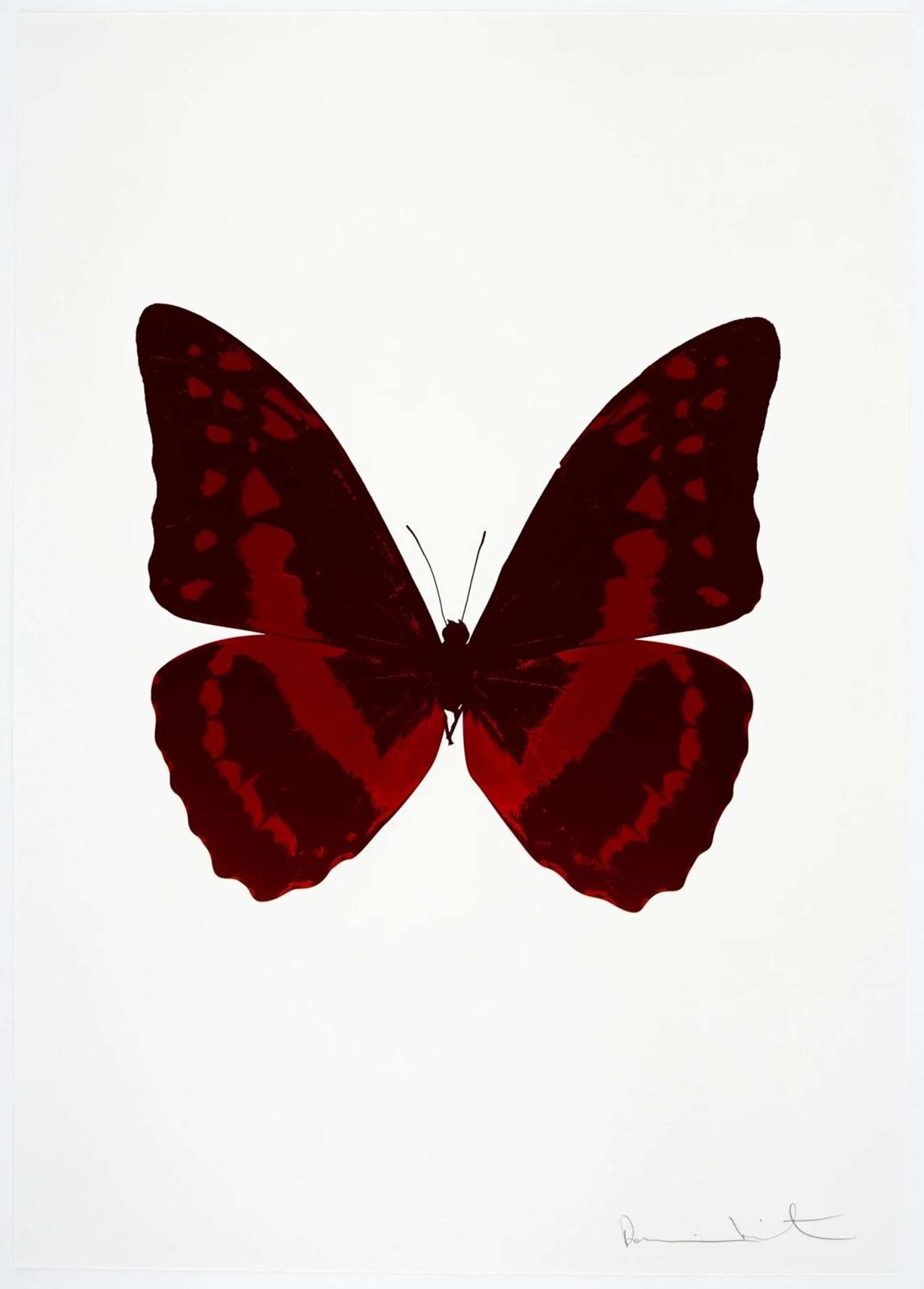 Damien Hirst: The Souls III (burgundy, chilli red) - Signed Print