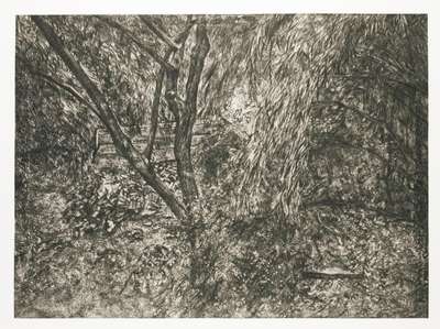 The Painter's Garden - Signed Print by Lucian Freud 2003 - MyArtBroker
