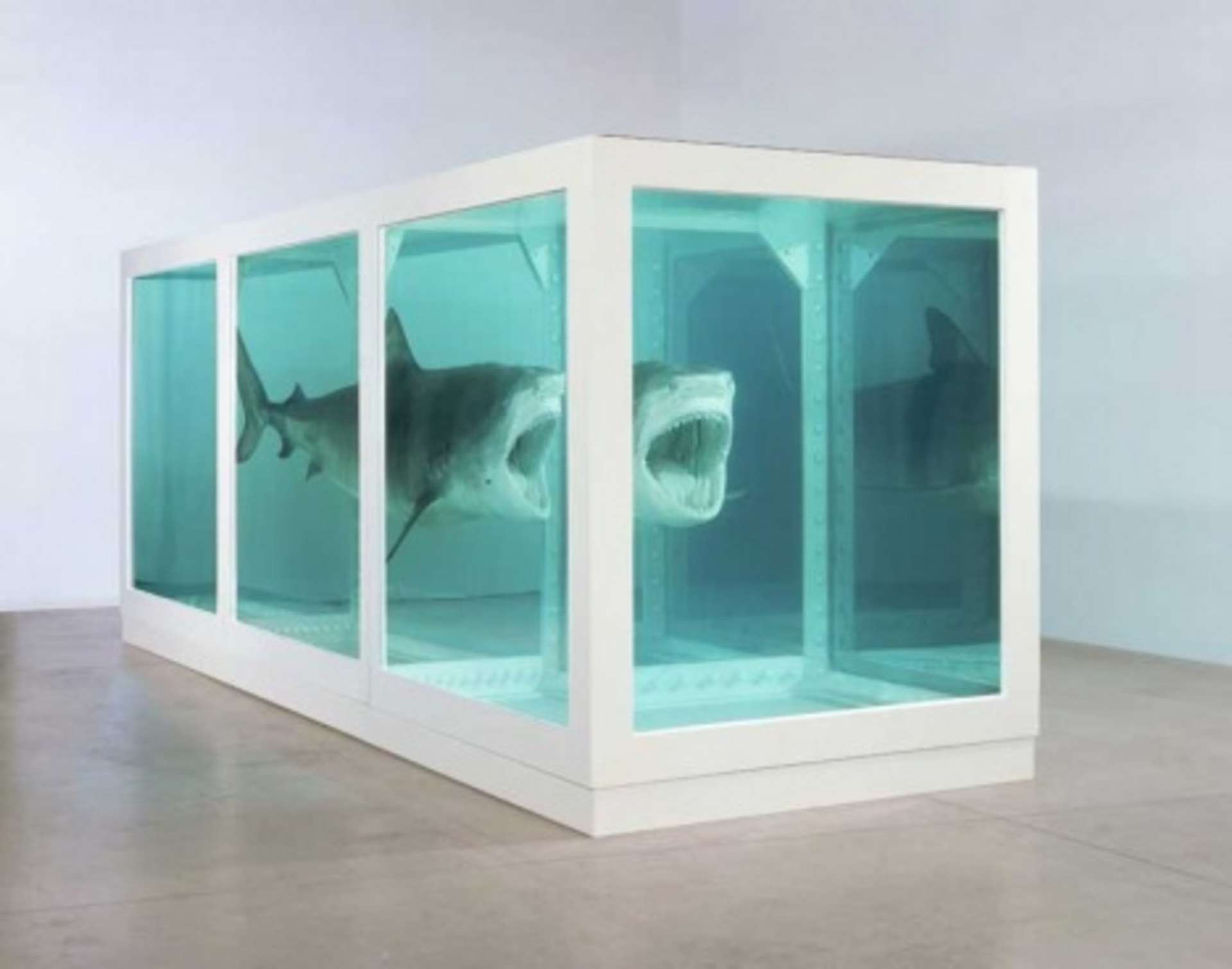 An image of the work The Physical Impossibility Of Death In The Mind Of Someone Living by Damien Hirst. It shows a large tiger shark preserved in formaldehyde, within a large glass tank divided in three sections by white frames