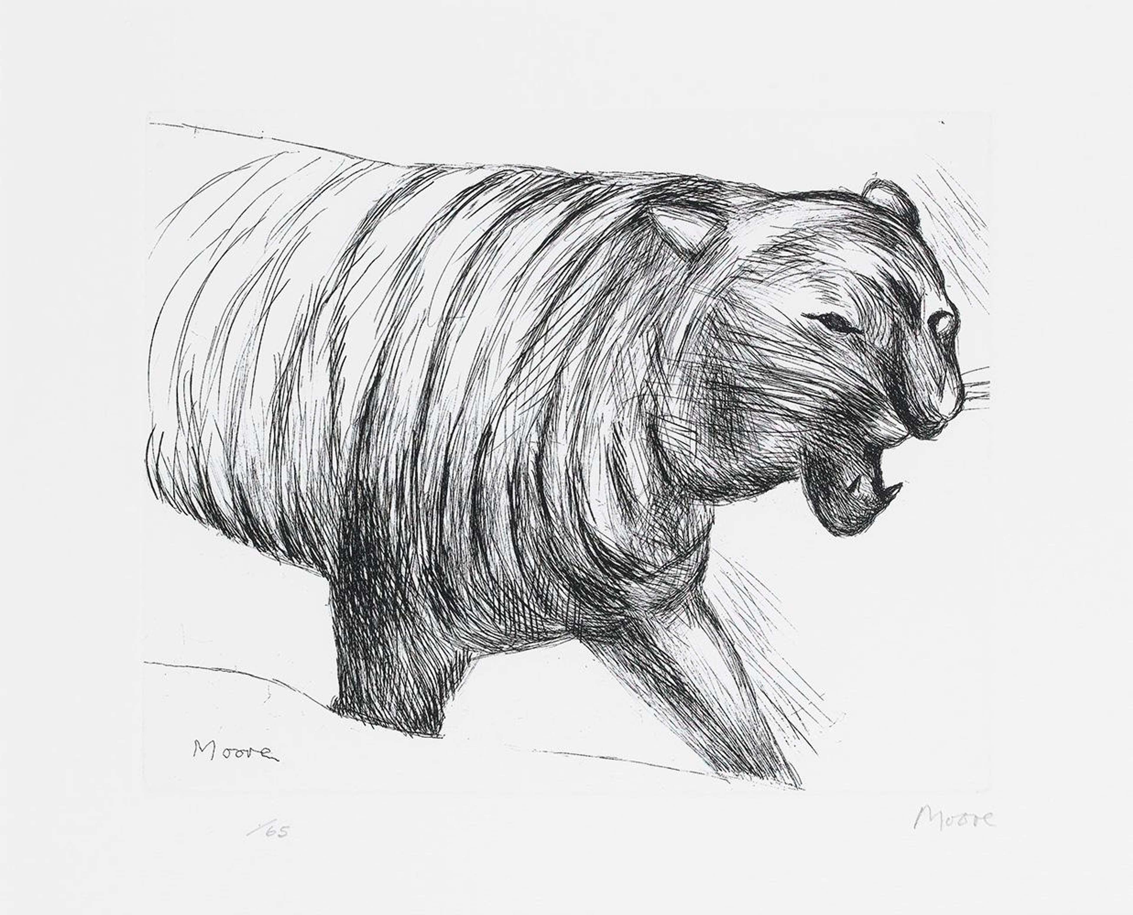 Tiger - Signed Print by Henry Moore 1982 - MyArtBroker