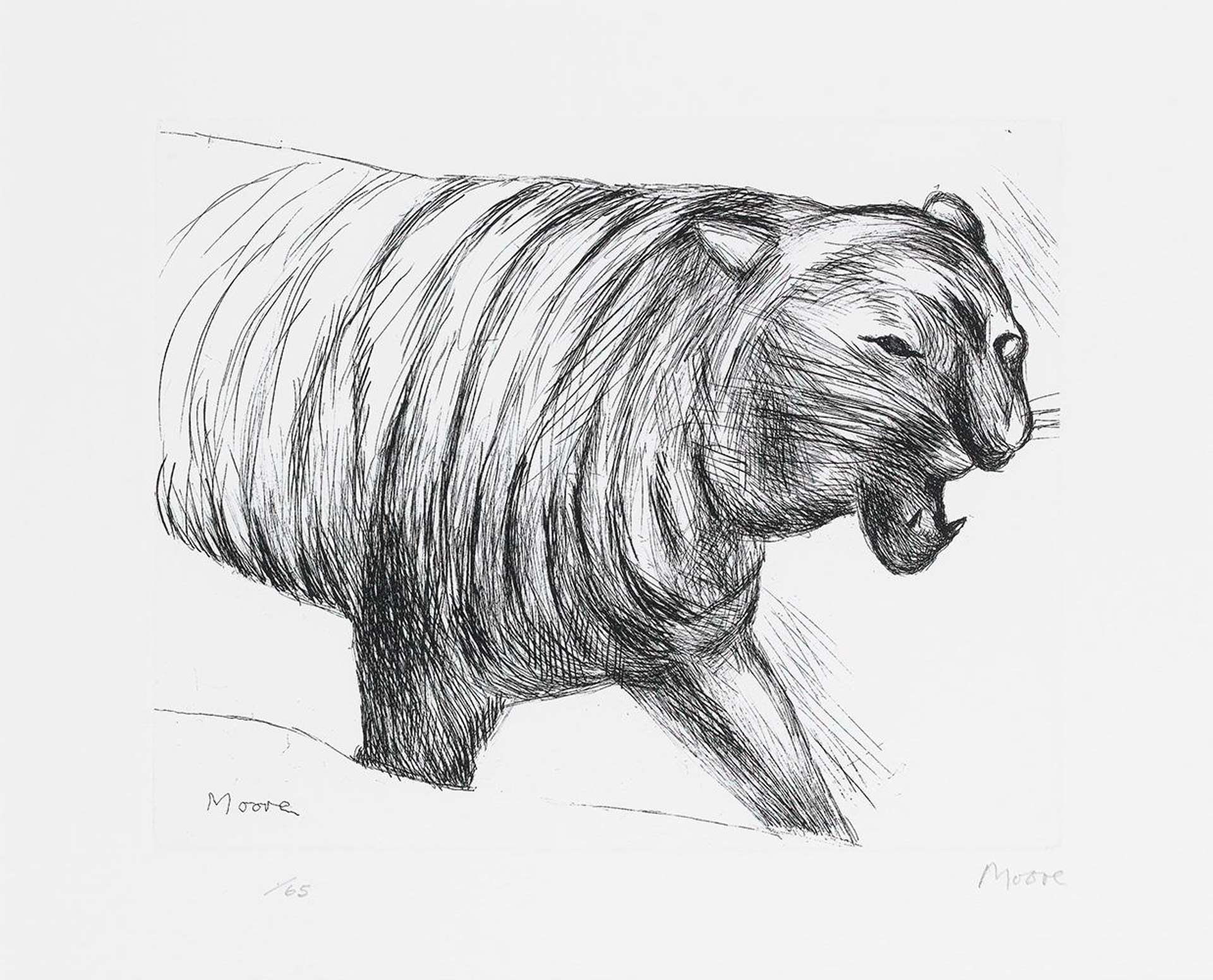 Tiger - Signed Print by Henry Moore 1982 - MyArtBroker