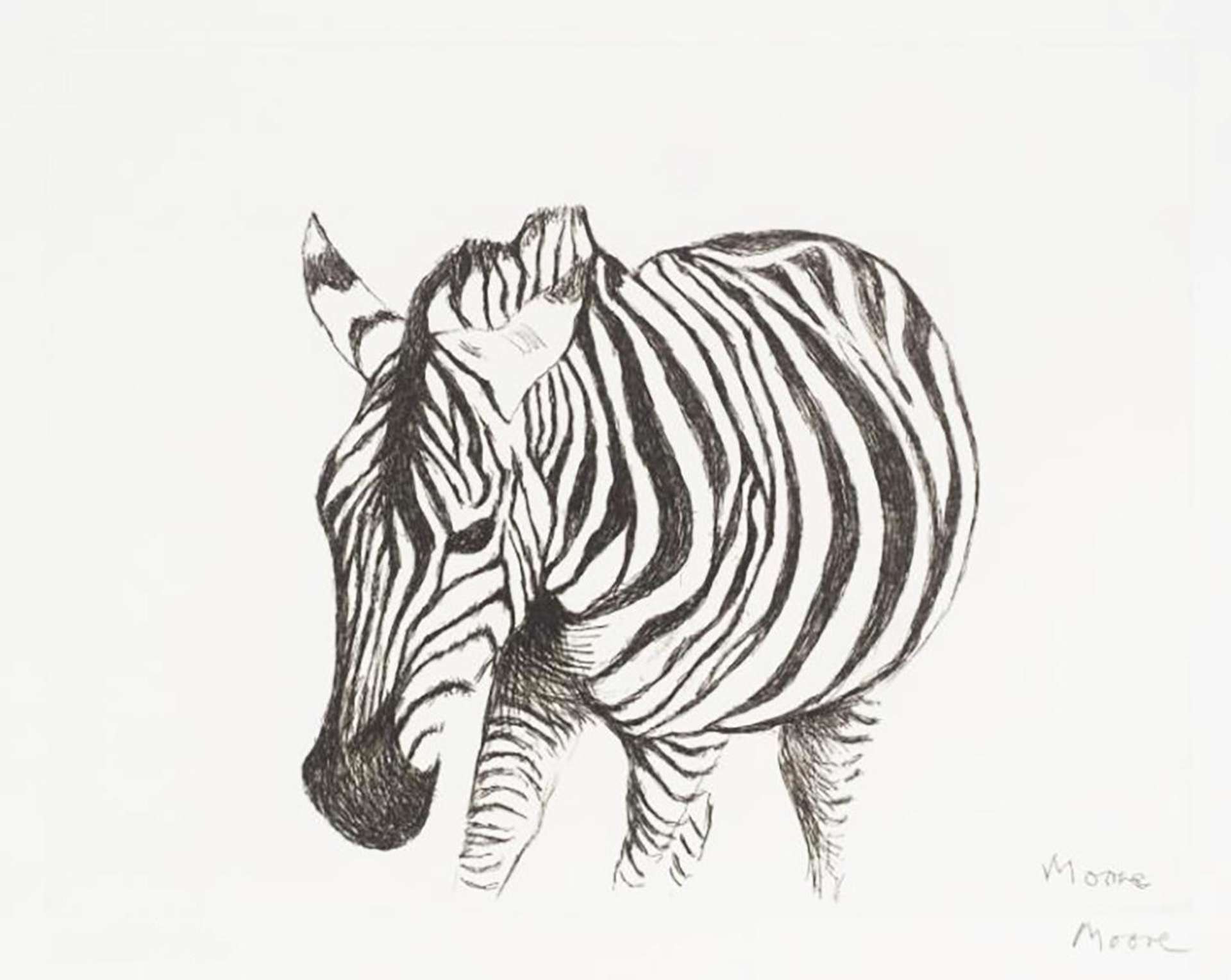 Zebra - Signed Print by Henry Moore 1983 - MyArtBroker
