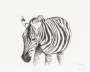 Henry Moore: Zebra - Signed Print