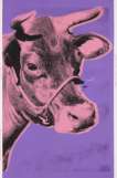 Cow (F. & S. II.12A) - Unsigned Print