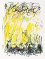 Joan Mitchell: Sides Of A River II - Signed Print