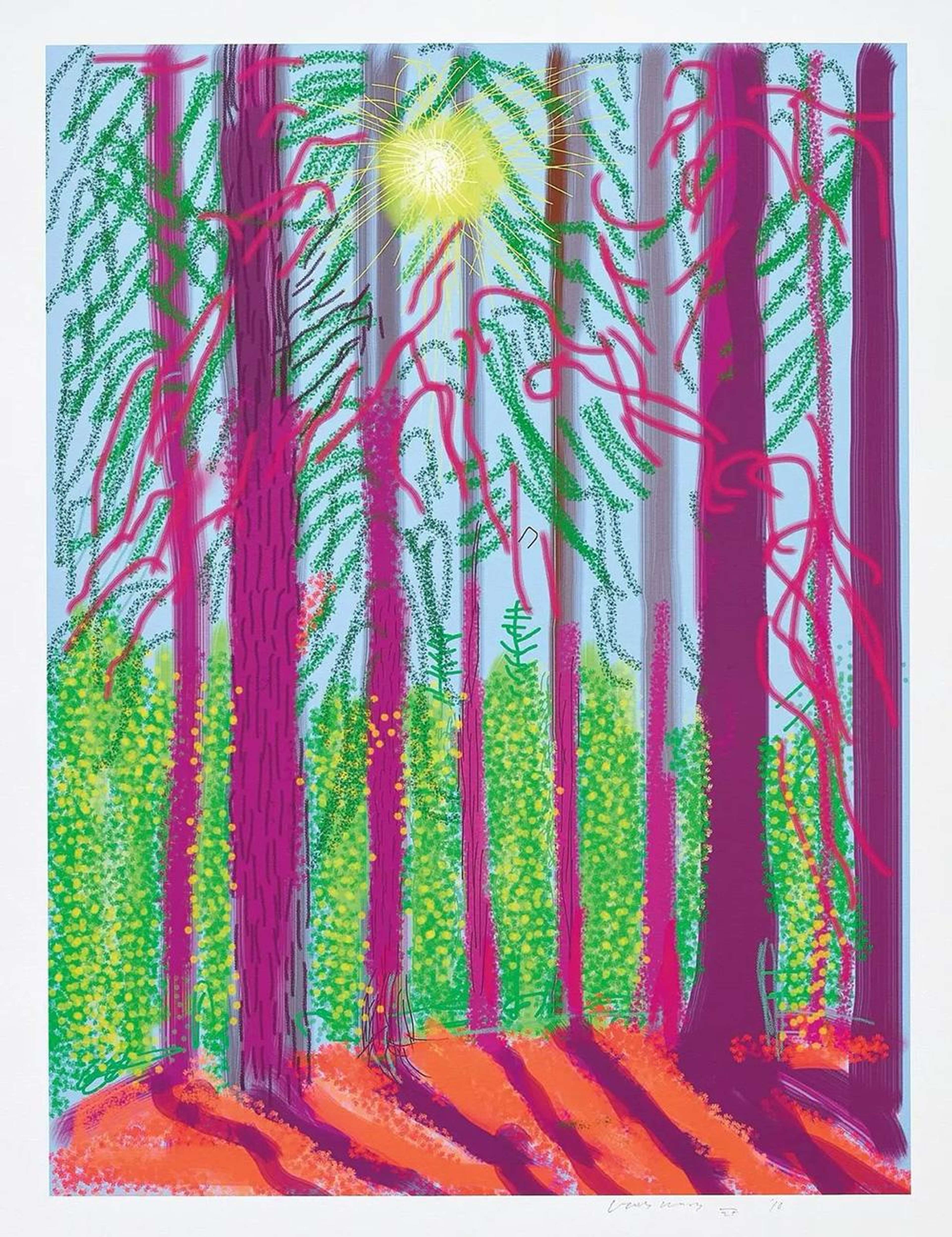 The Yosemite Suite 4 - Signed Print by David Hockney 2010 - MyArtBroker