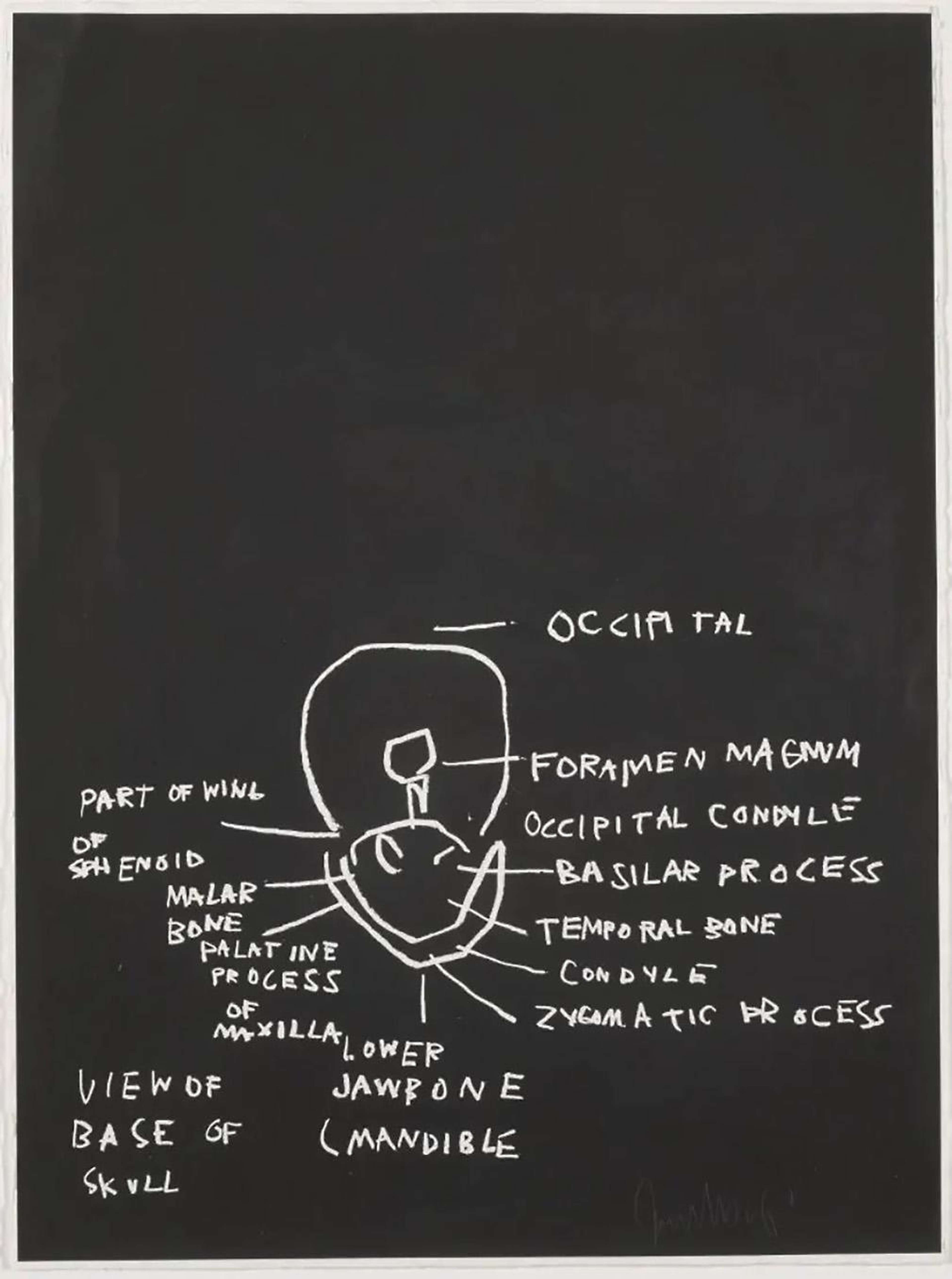 Jean-Michel Basquiat’s Anatomy, View Of Base Of Skull. A black screenprint featuring white anatomical drawings of the base of a human skull with descriptive labels.