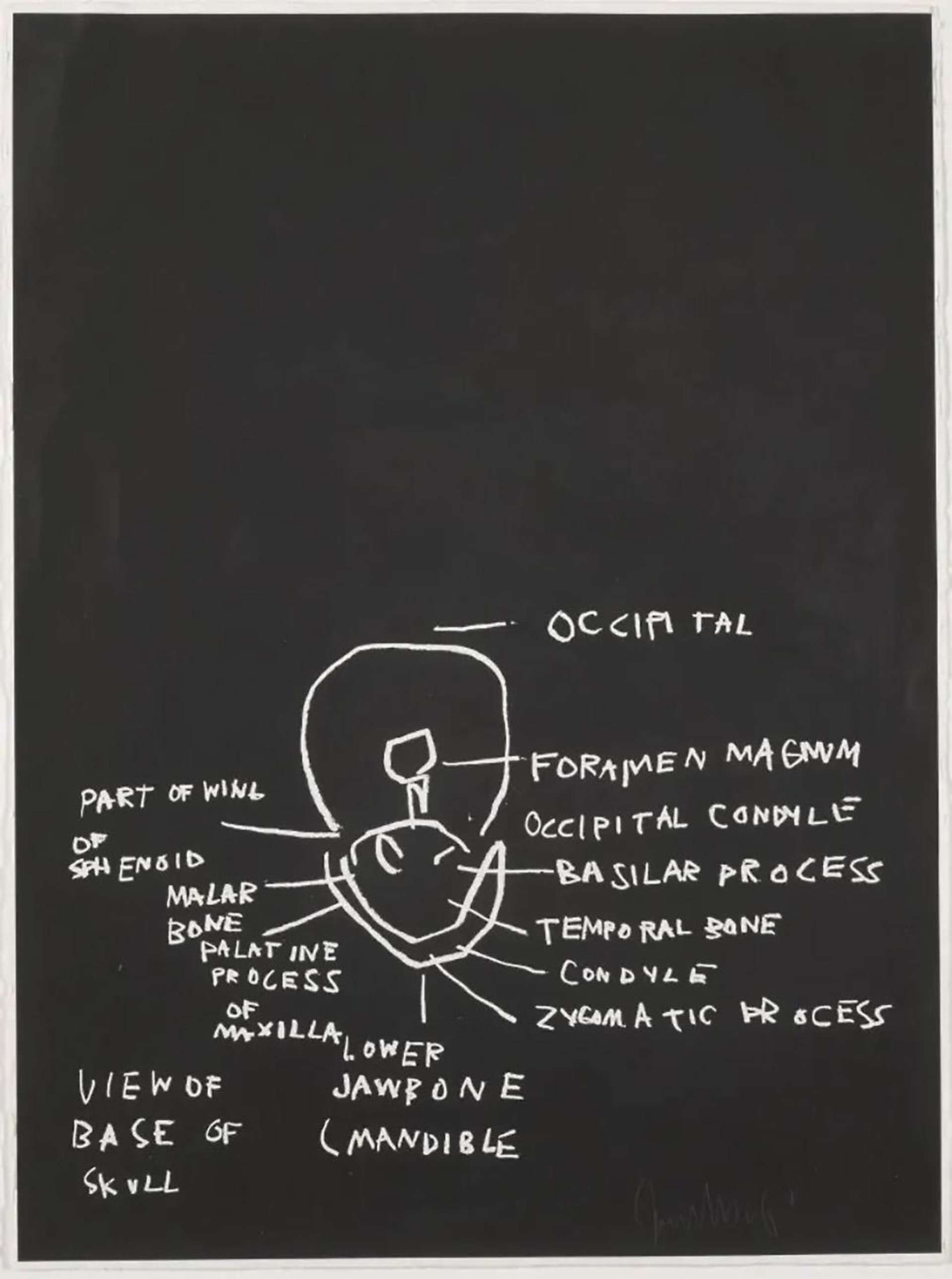 Jean-Michel Basquiat’s Anatomy, View Of Base Of Skull. A black screenprint featuring white anatomical drawings of the base of a human skull with descriptive labels.
