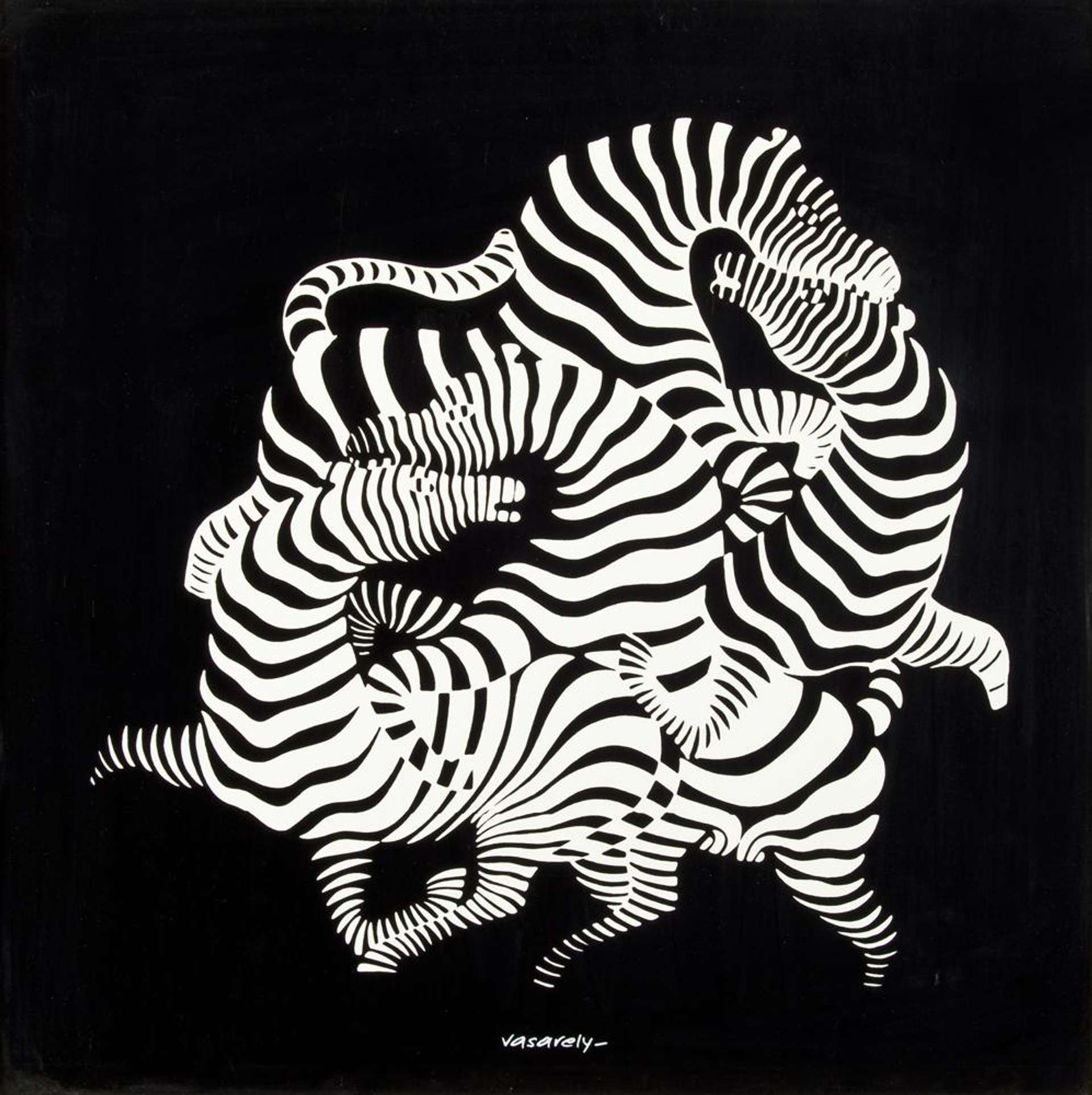A monochromatic work featuring four zebras in the centre of a black background whose necks and limbs intertwine and overlap with one another to create an optical effect.