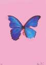 Damien Hirst: Blue Butterfly - Signed Print