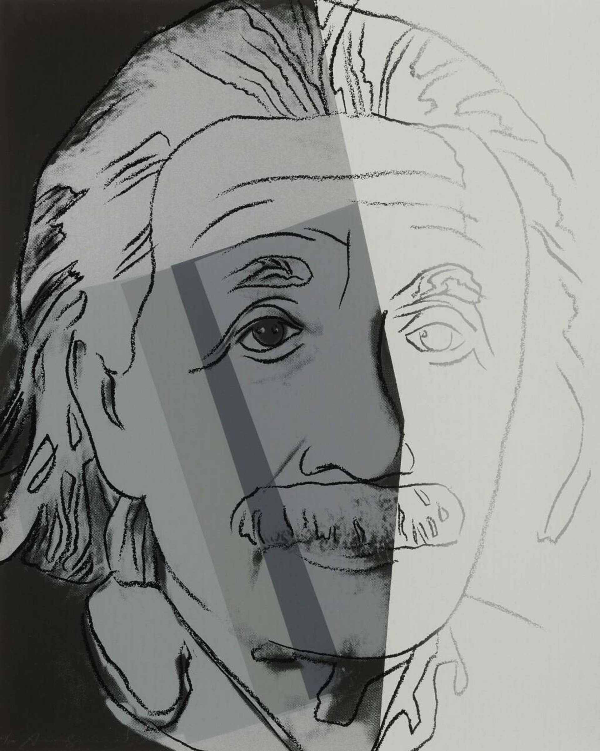Albert Einstein (F. & S. II.229) by Andy Warhol
