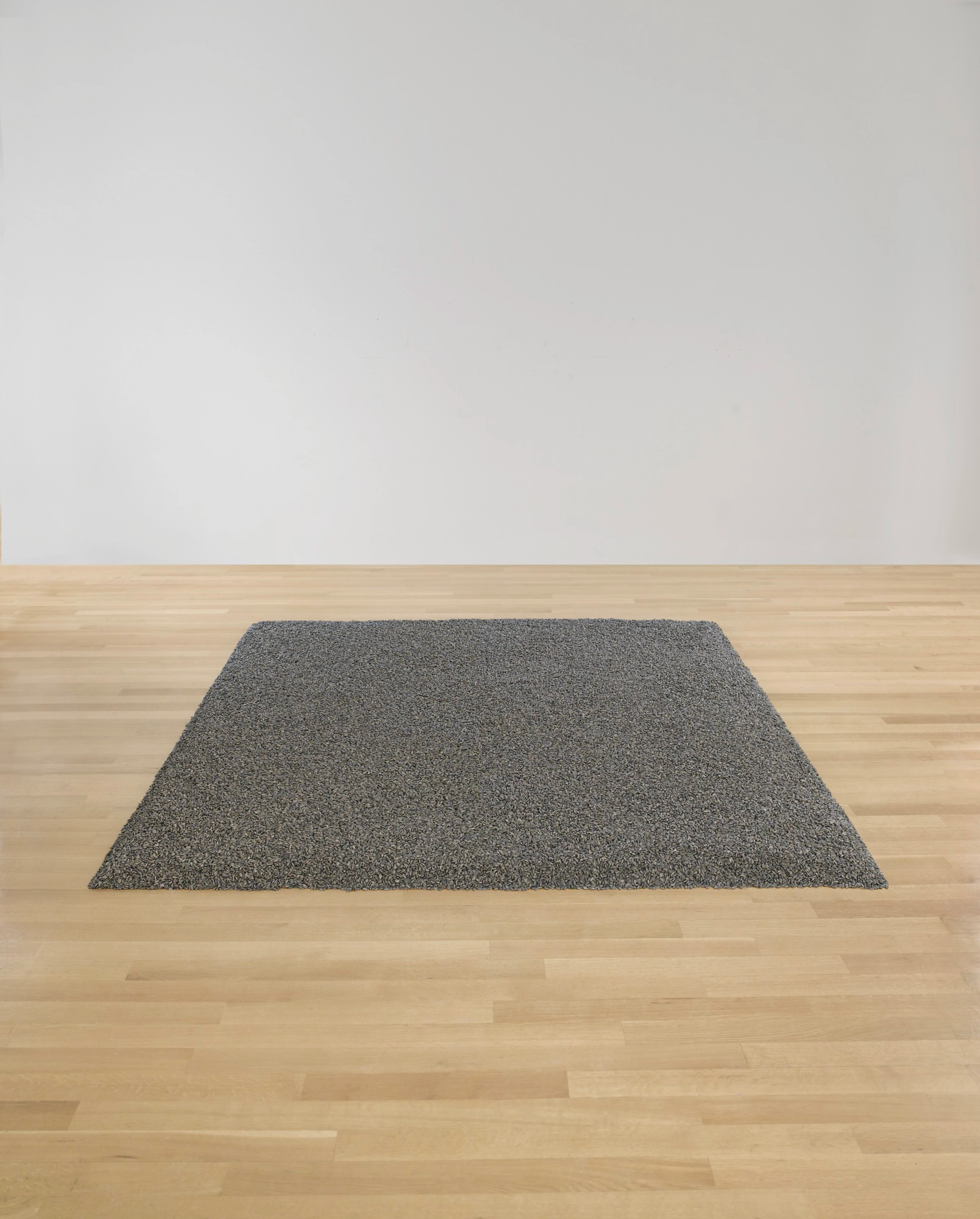 A rectangular arrangement of thousands of tiny porcelain sunflower seeds meticulously spread out on an empty gallery floor.