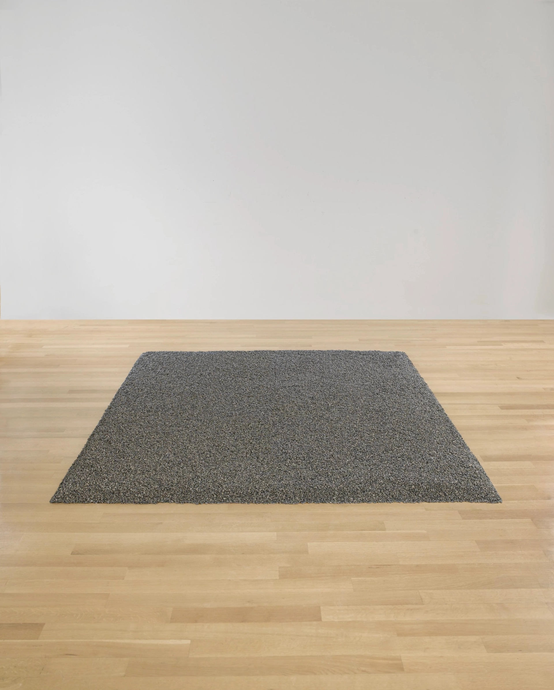 A rectangular arrangement of thousands of tiny porcelain sunflower seeds meticulously spread out on an empty gallery floor.