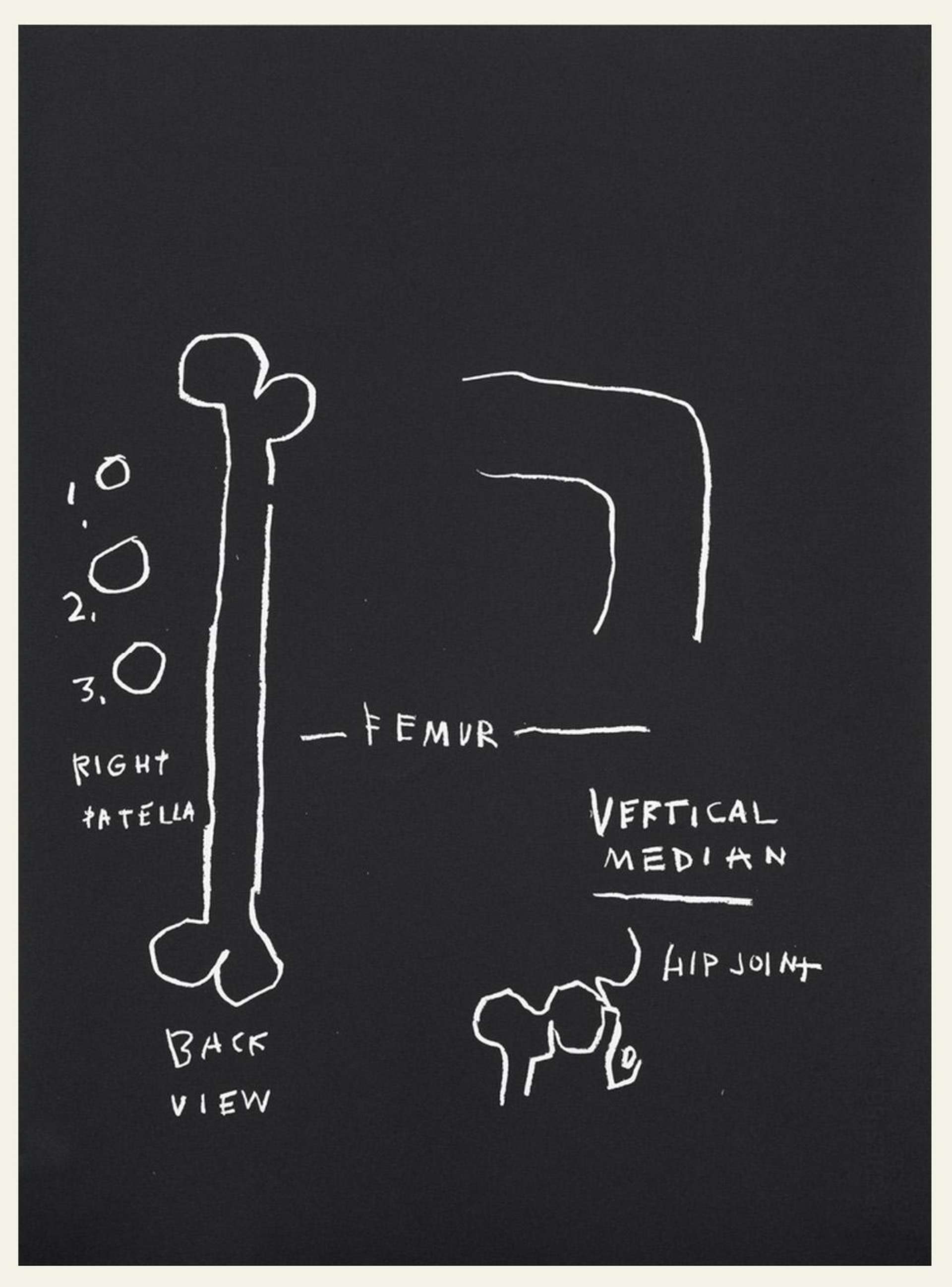 Jean-Michel Basquiat’s Anatomy, Vertical Median. A black screenprint featuring white anatomical drawings of human bones and joints with descriptive labels.