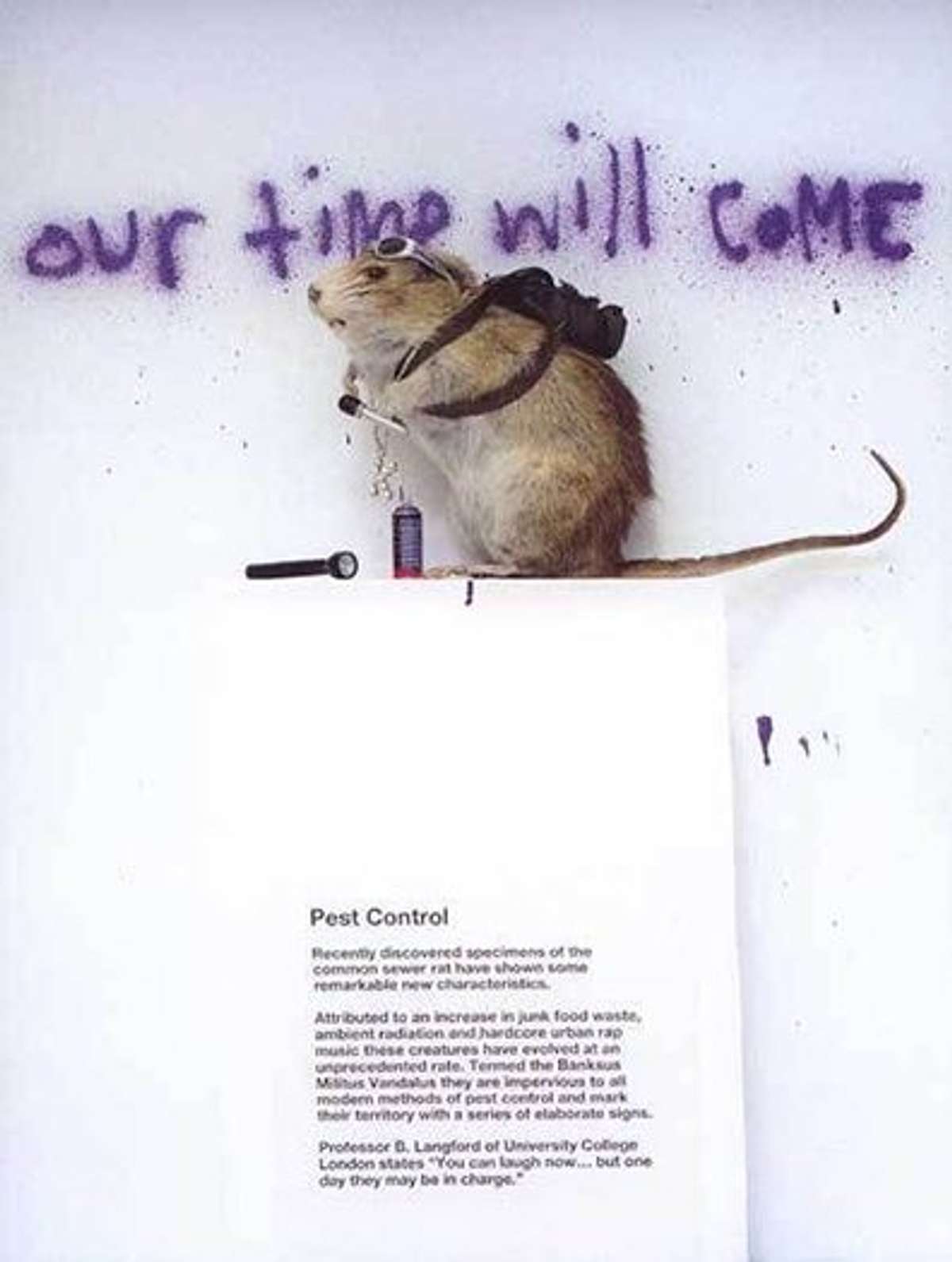 Banksy Authentication Pest Control Guide MyArtBroker