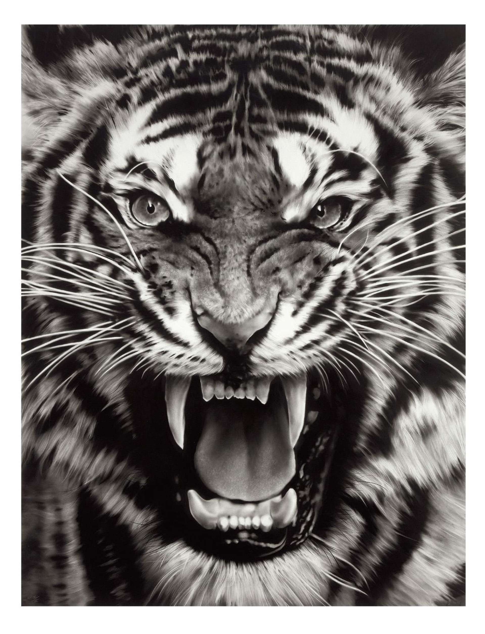 Untitled (Roaring Tiger Print) - Signed Print by Robert Longo 2015 - MyArtBroker